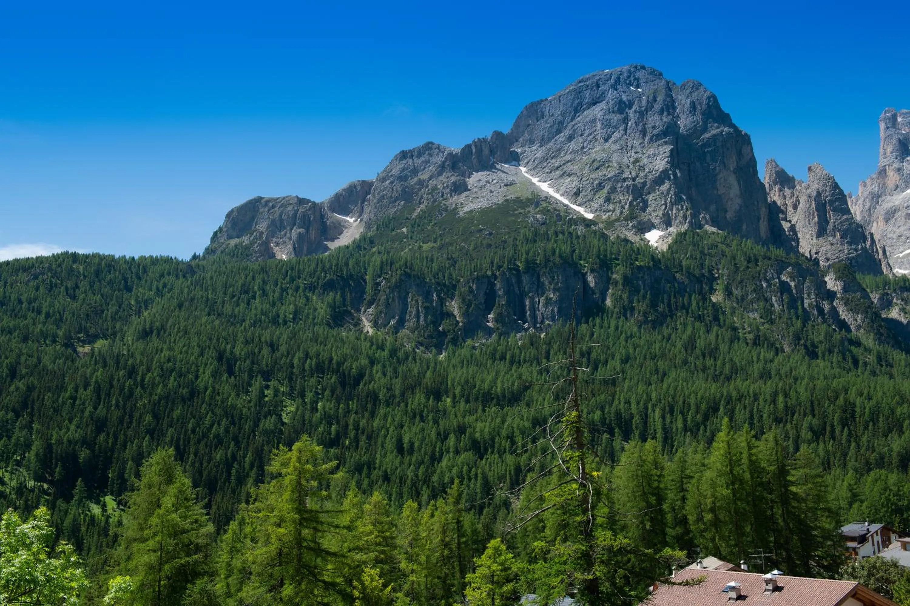 Other in Residence Barbara