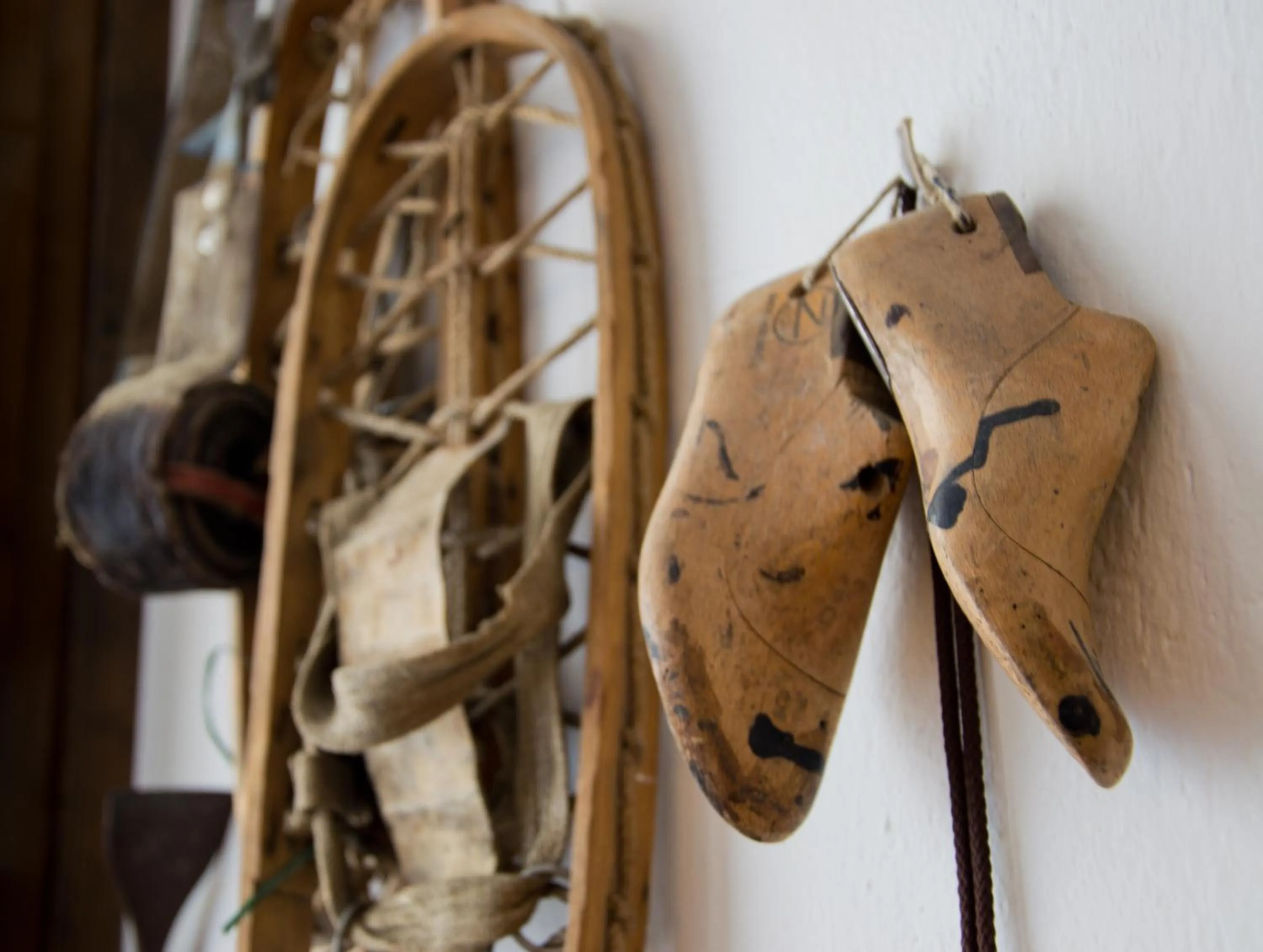 Meublé Albergo Dante