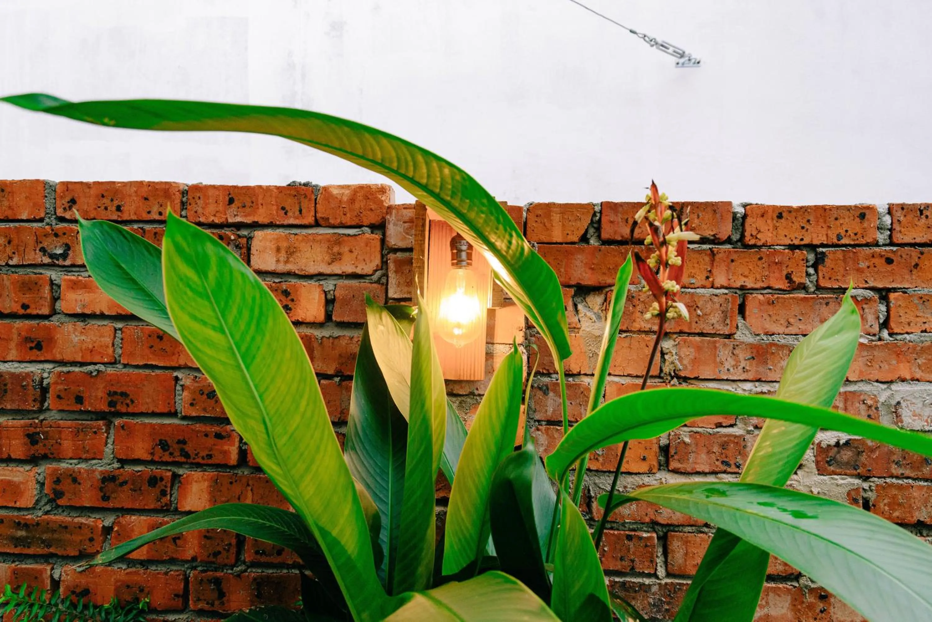 Decorative detail in Rembulan Langkawi Guesthouse