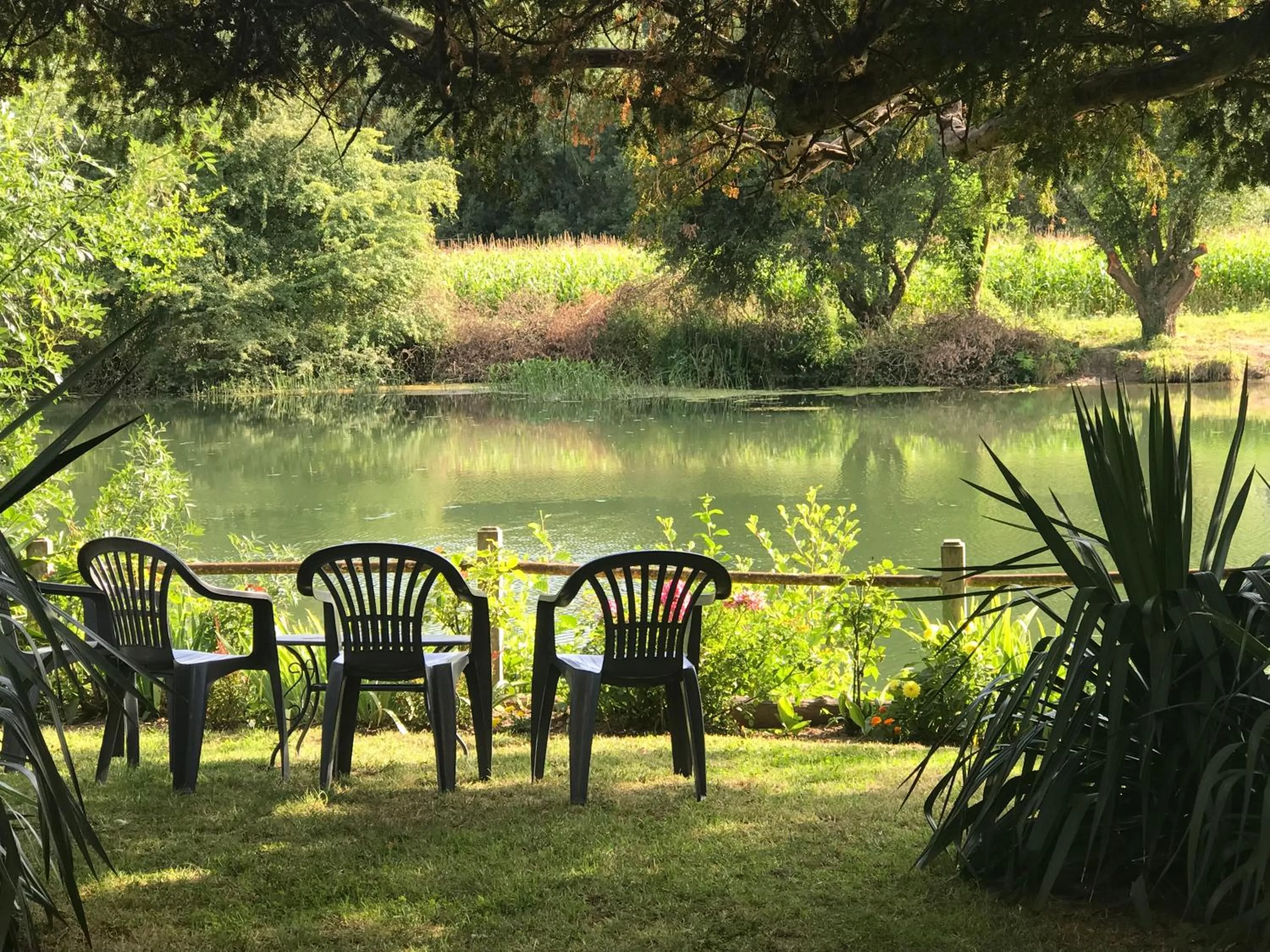 Patio in L'Auberge du Port des Roches