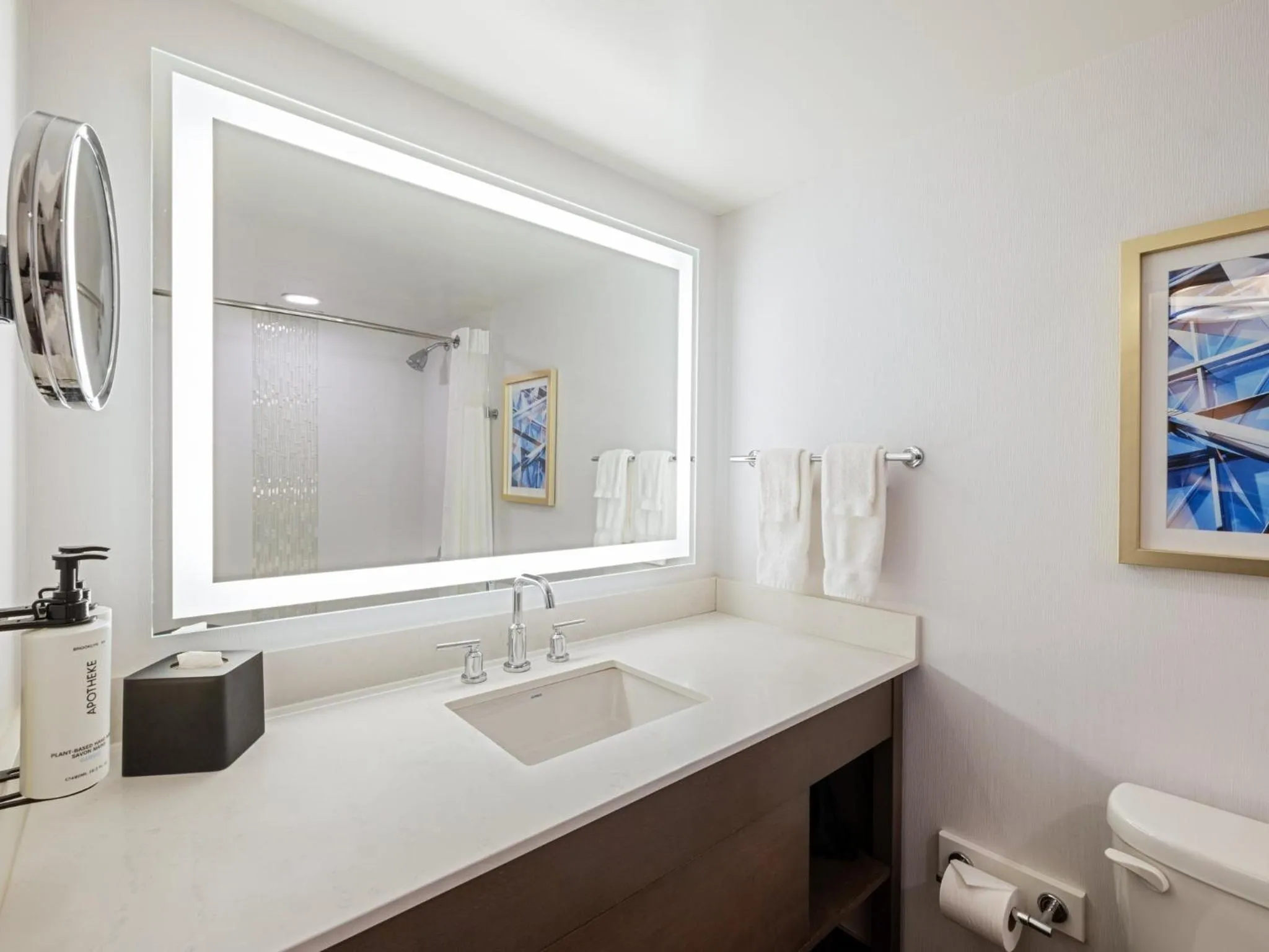 Bathroom in Crowne Plaza Albany - The Desmond Hotel