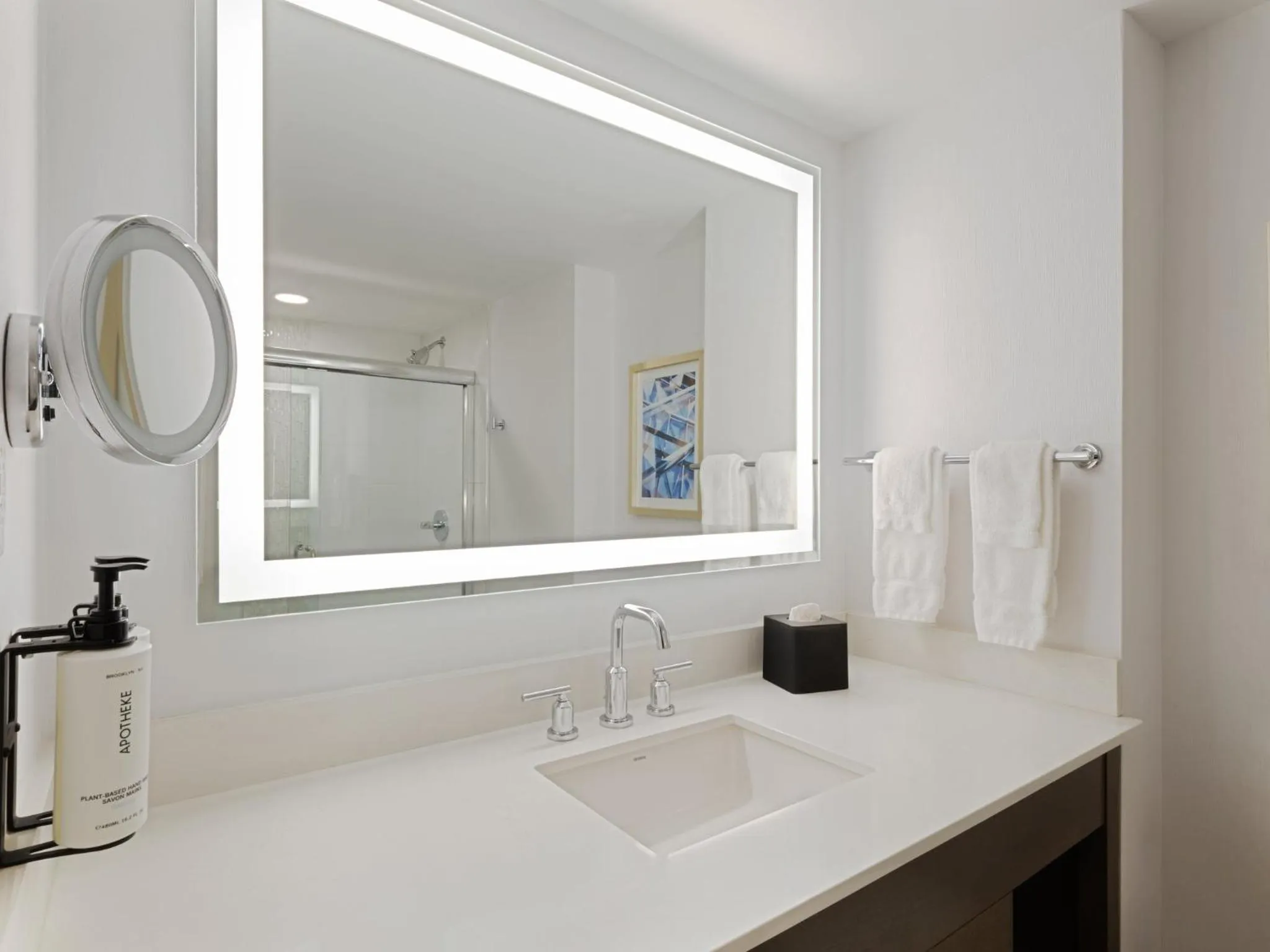 Bathroom in Crowne Plaza Albany - The Desmond Hotel