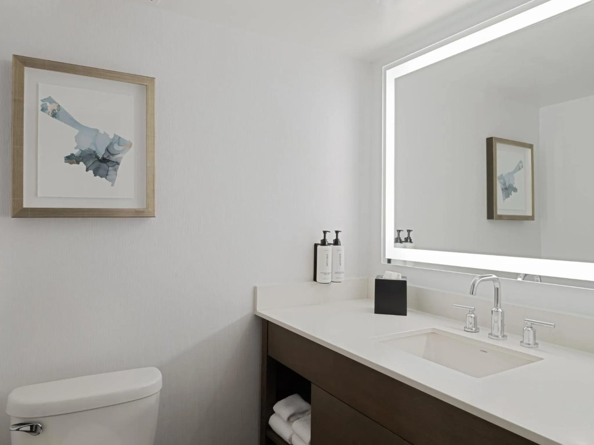 Bathroom in Crowne Plaza Albany - The Desmond Hotel