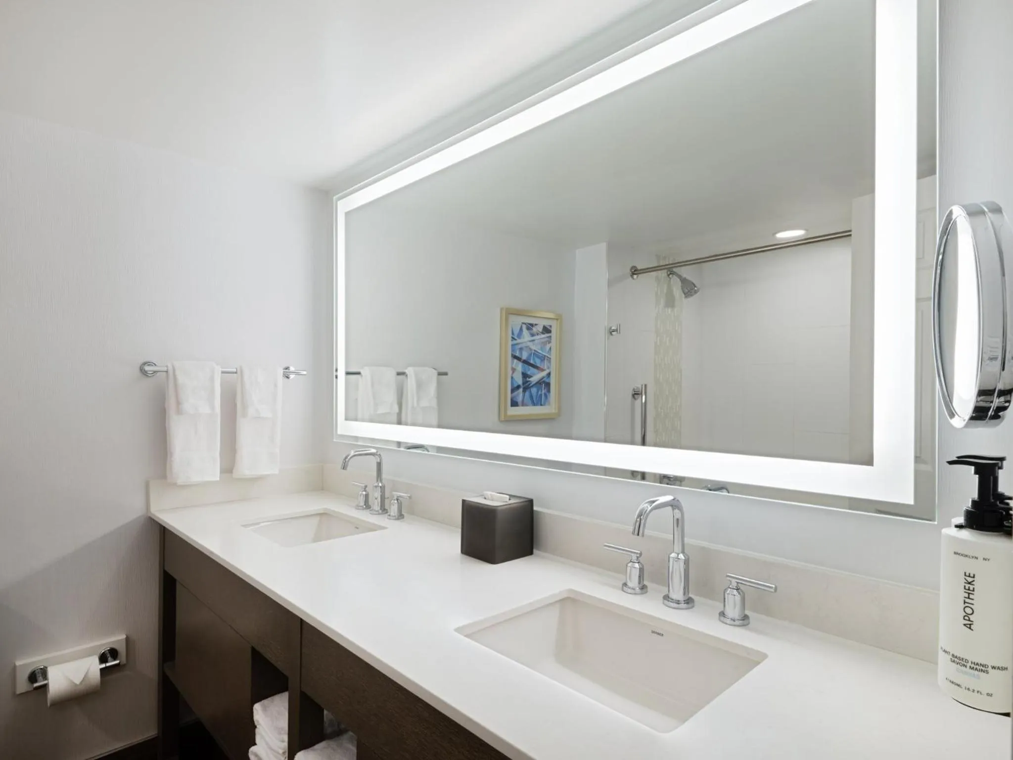 Bathroom in Crowne Plaza Albany - The Desmond Hotel