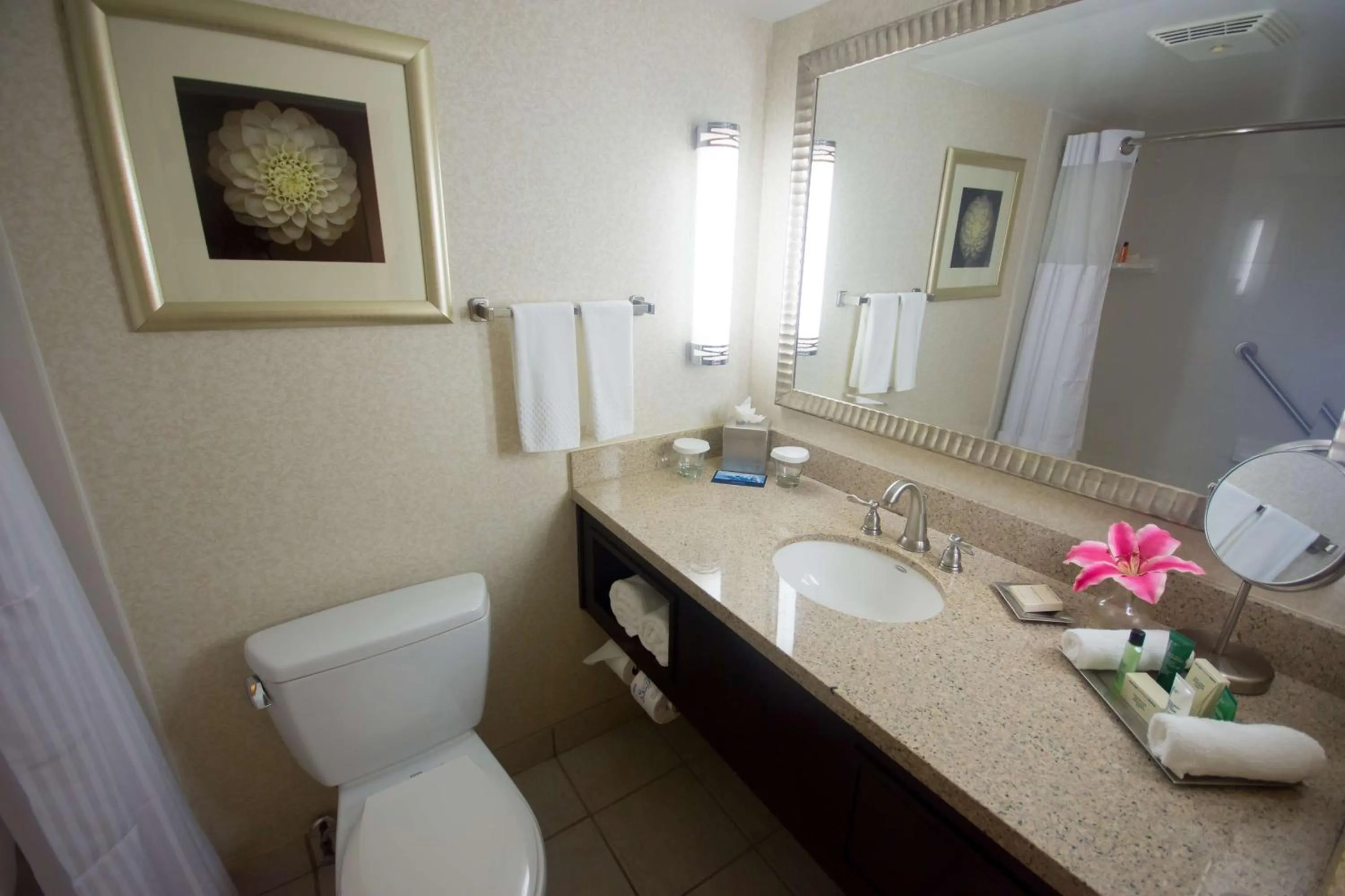 Bathroom in Hilton Palm Beach PBI