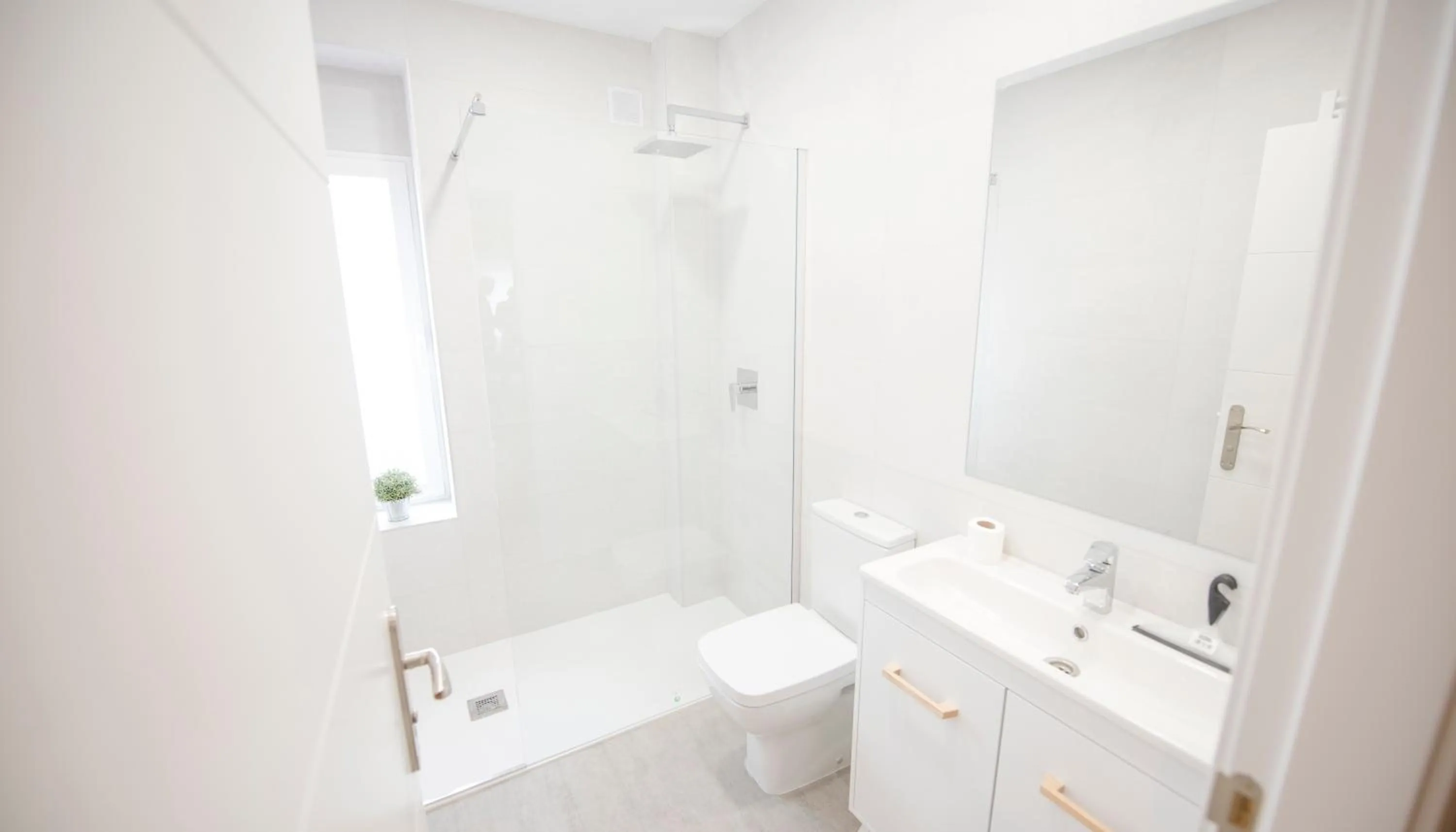 Shower in Happy Hostal Carrales