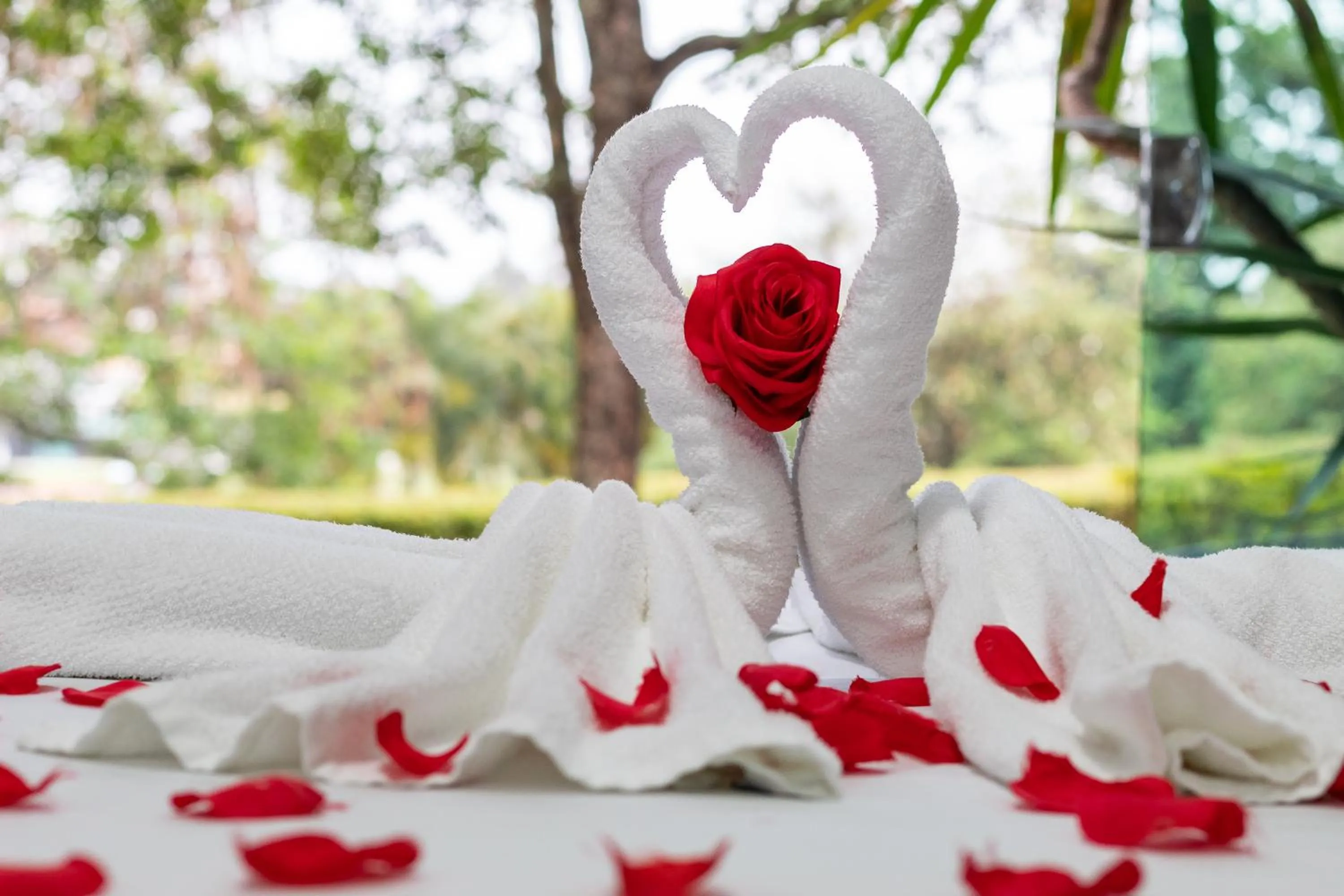 Escarpas Eco Village