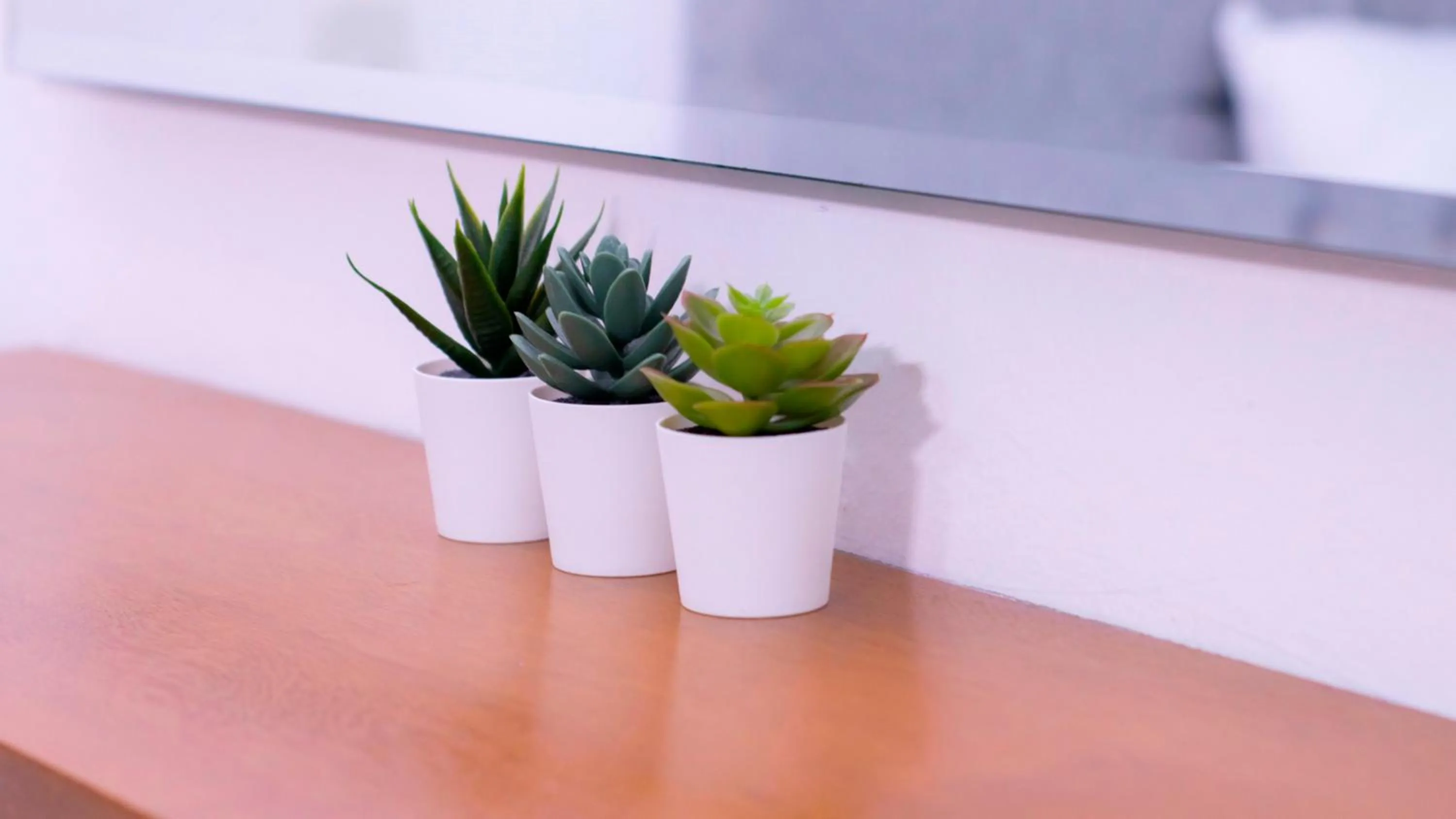 Decorative detail in Hotel Capriccio Mare y Restaurante