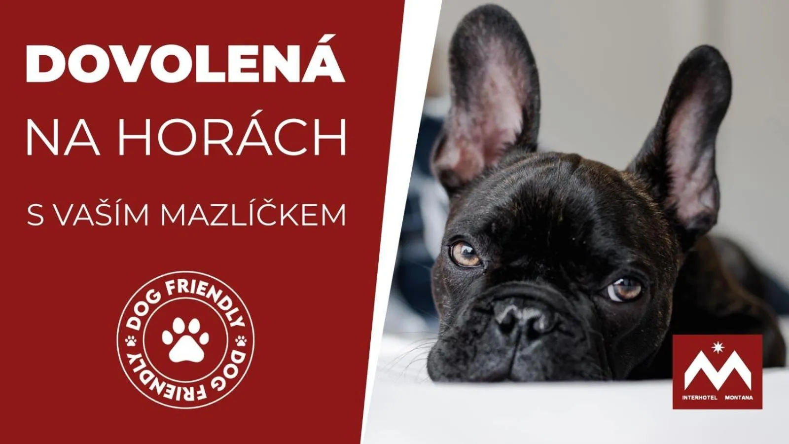 Pets in Horský hotel Montana