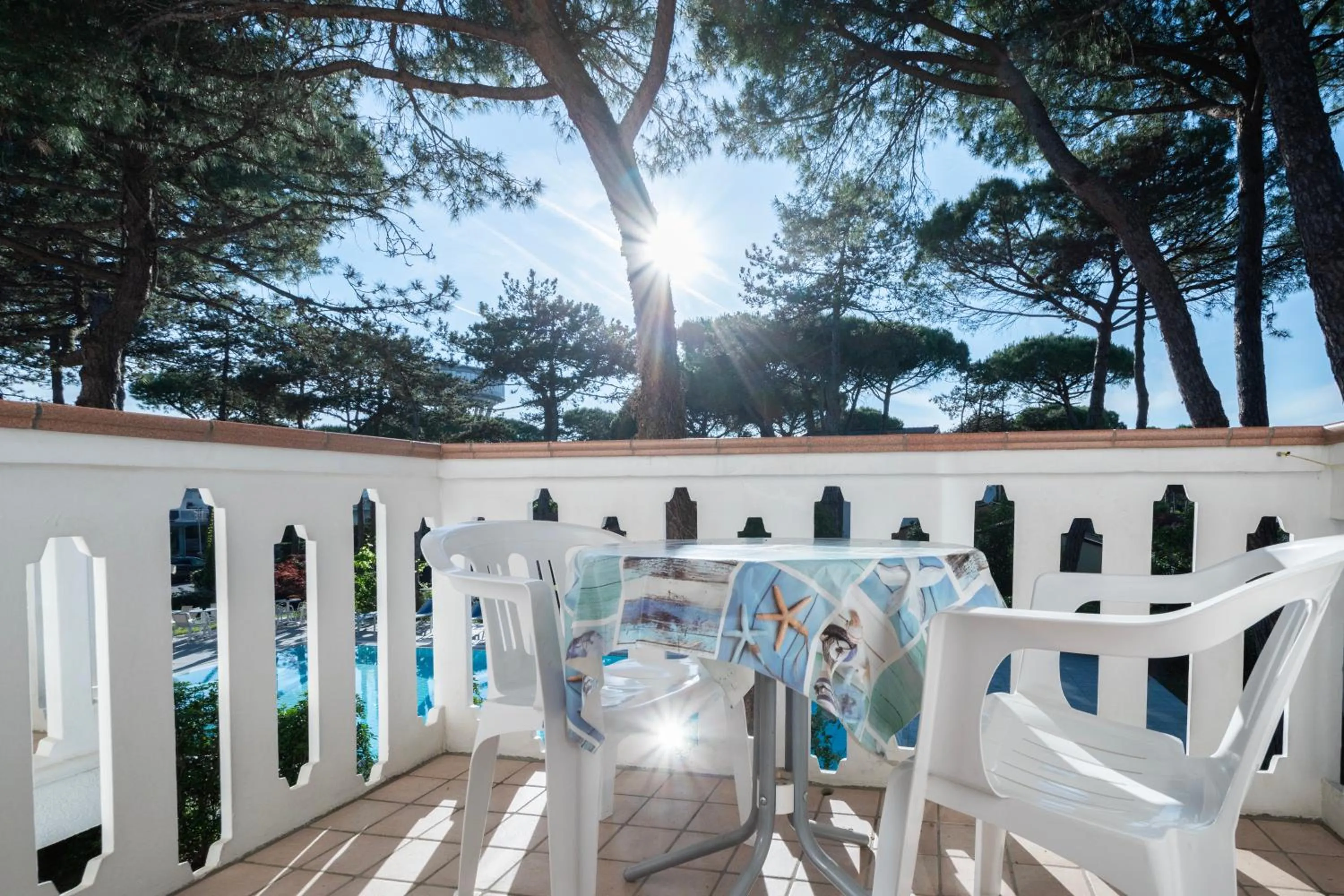 View (from property/room) in Hotel Caracas