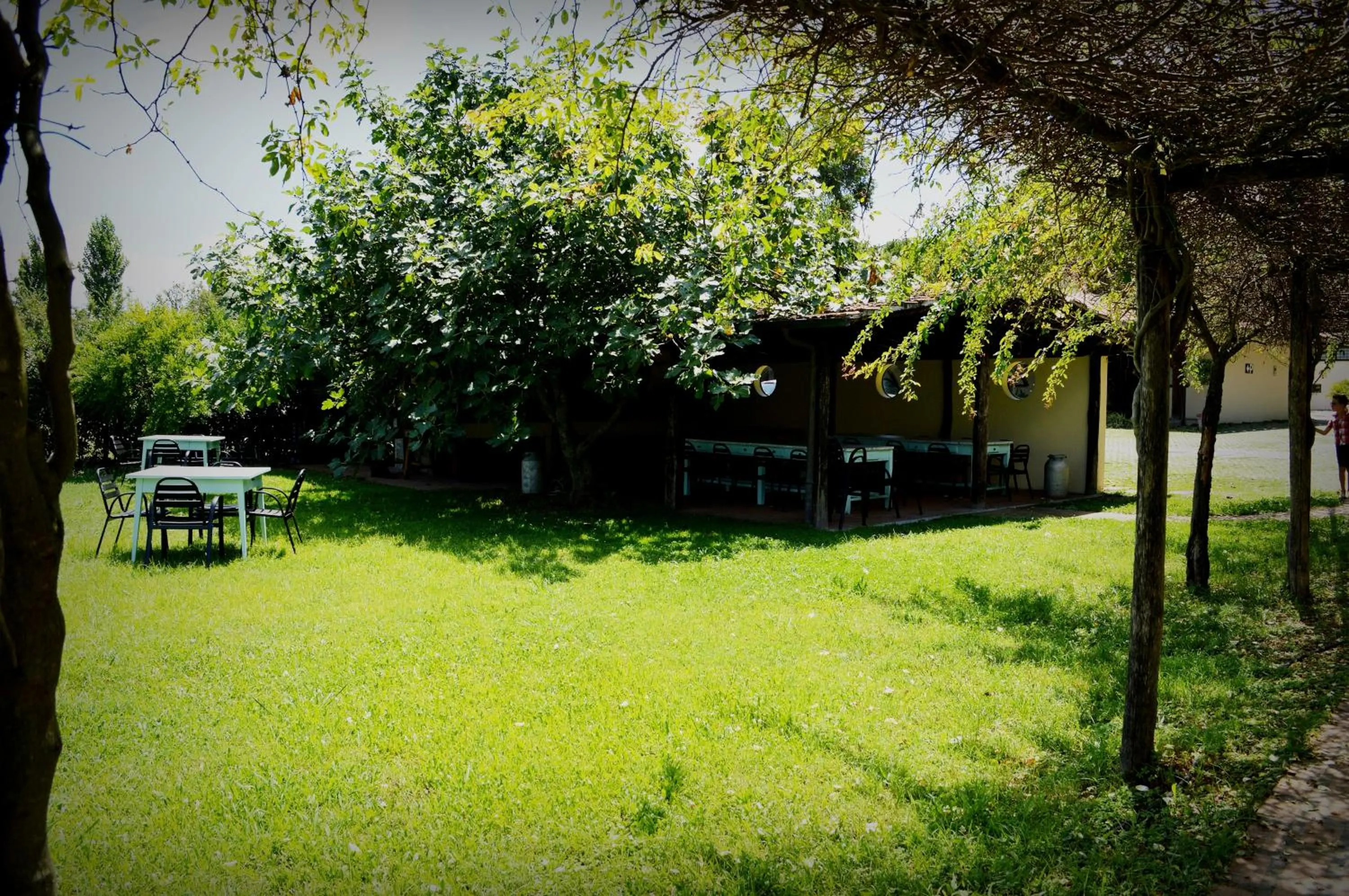 Day in Foro Appio Mansio Hotel