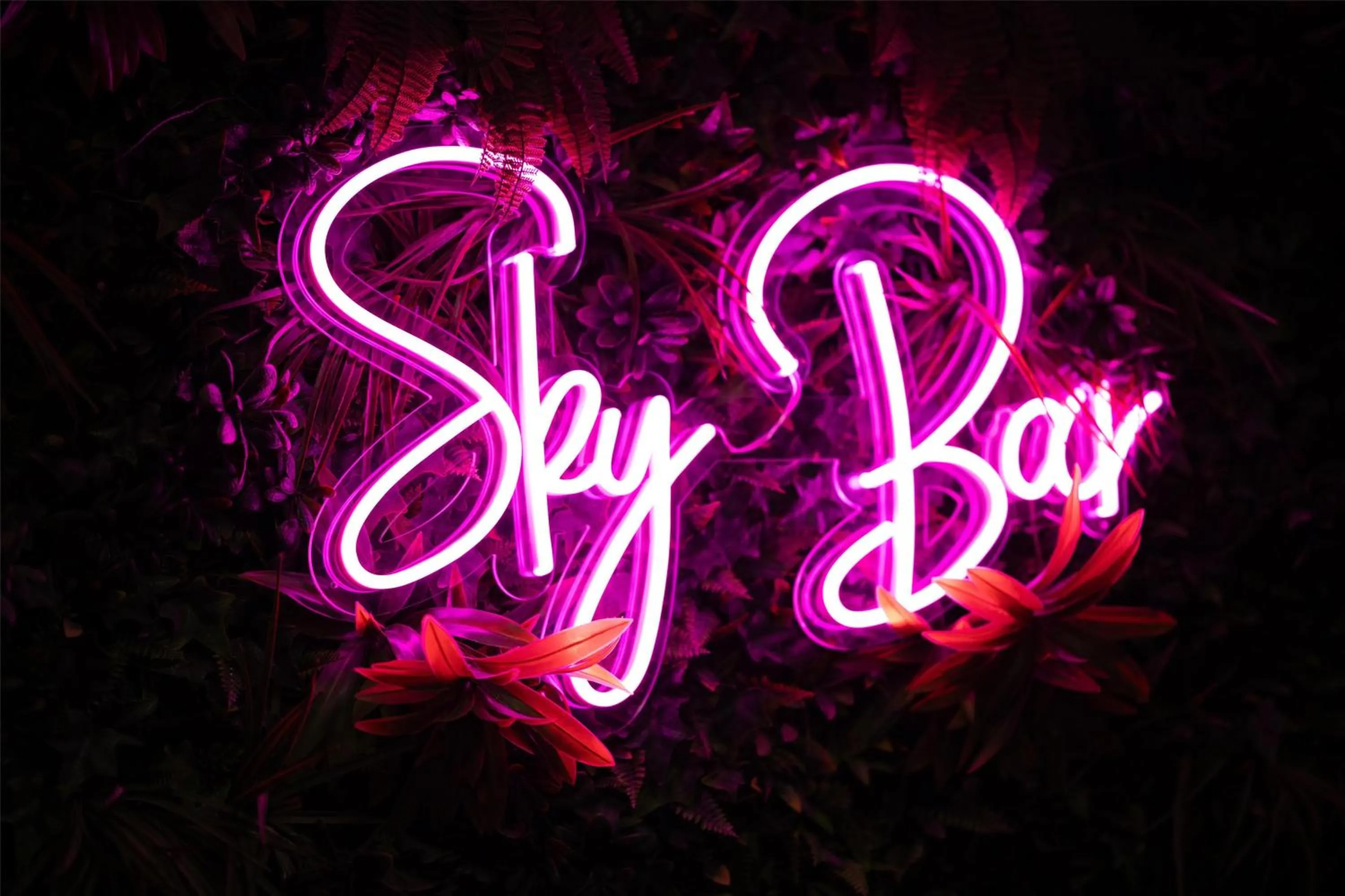 Lounge or bar in Hilton Virginia Beach Oceanfront