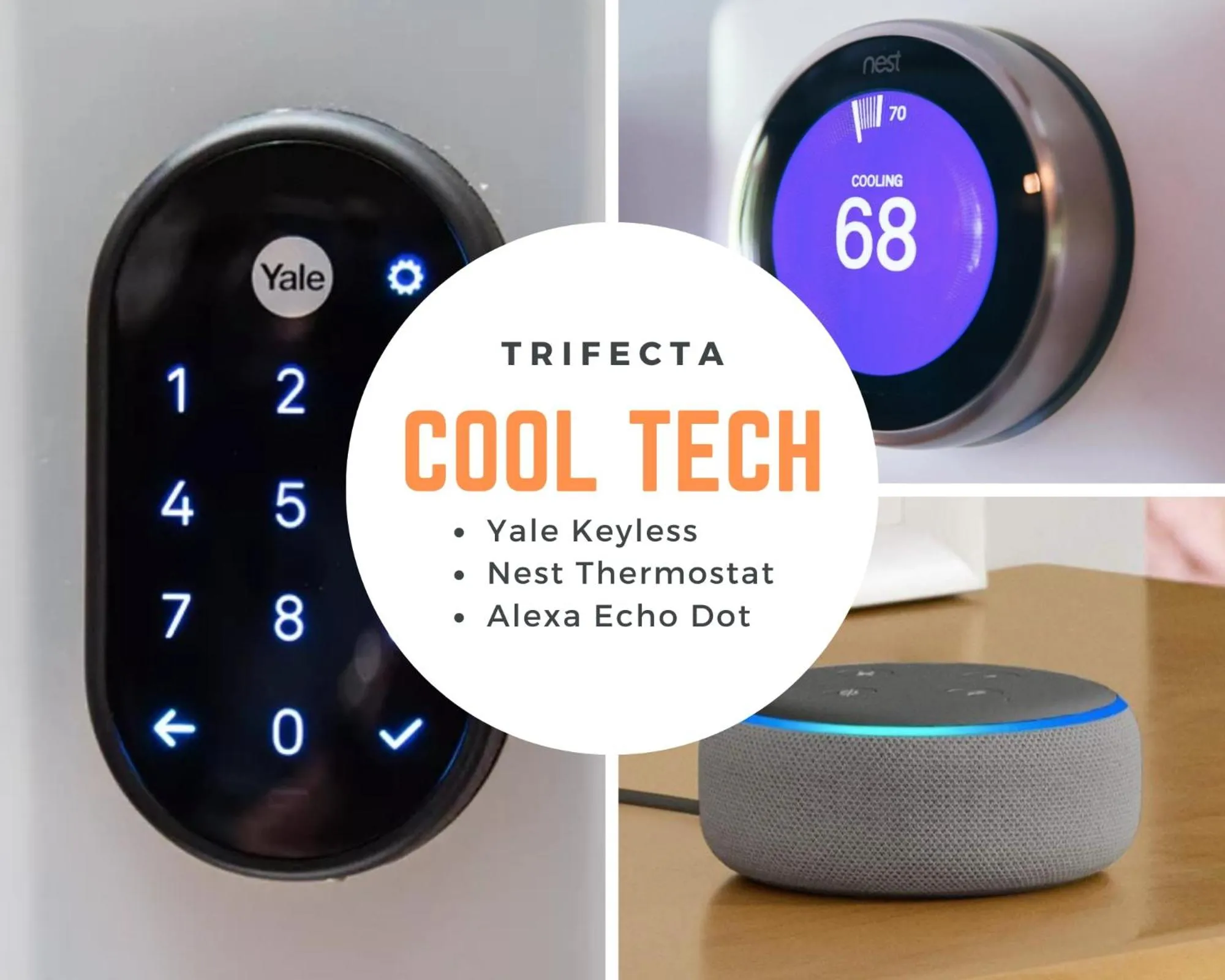 Trifecta City Loft Uptown CLT Superhost