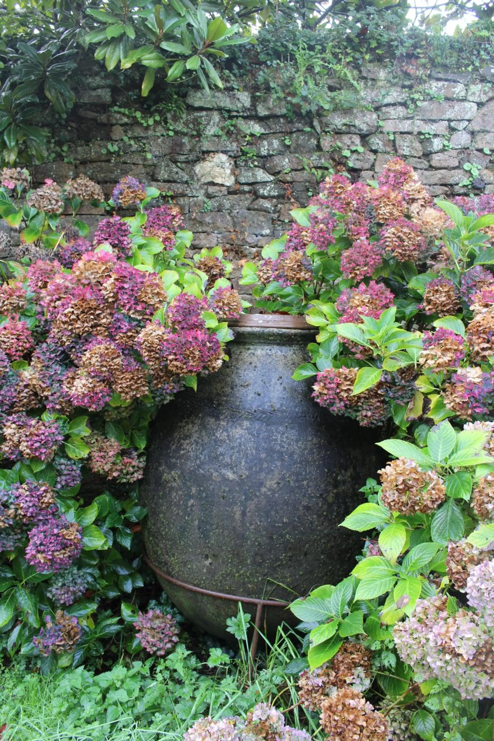 Garden in Manoir du Moustoir - Hôtel Les Empreintes