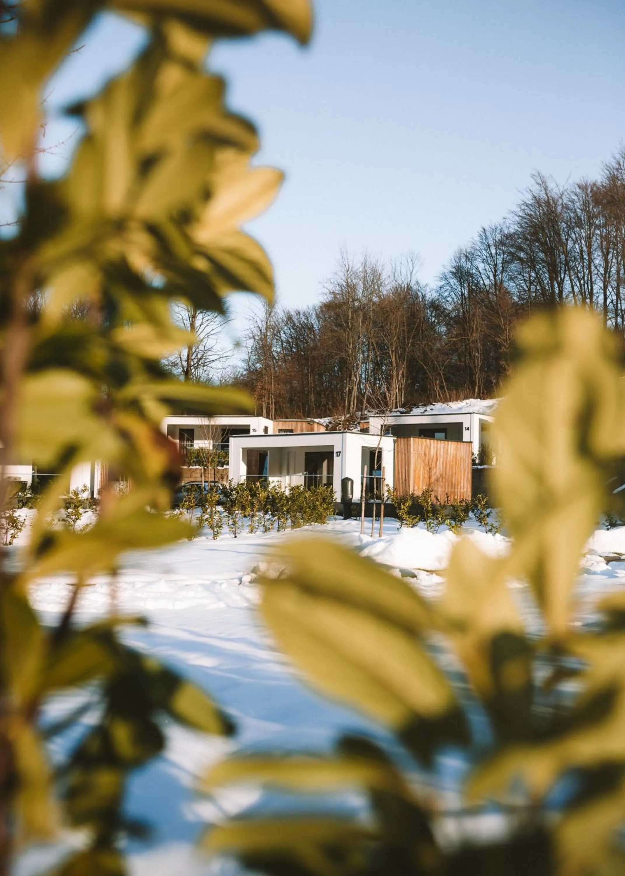 View (from property/room) in Mobile Homes Camping Plitvice
