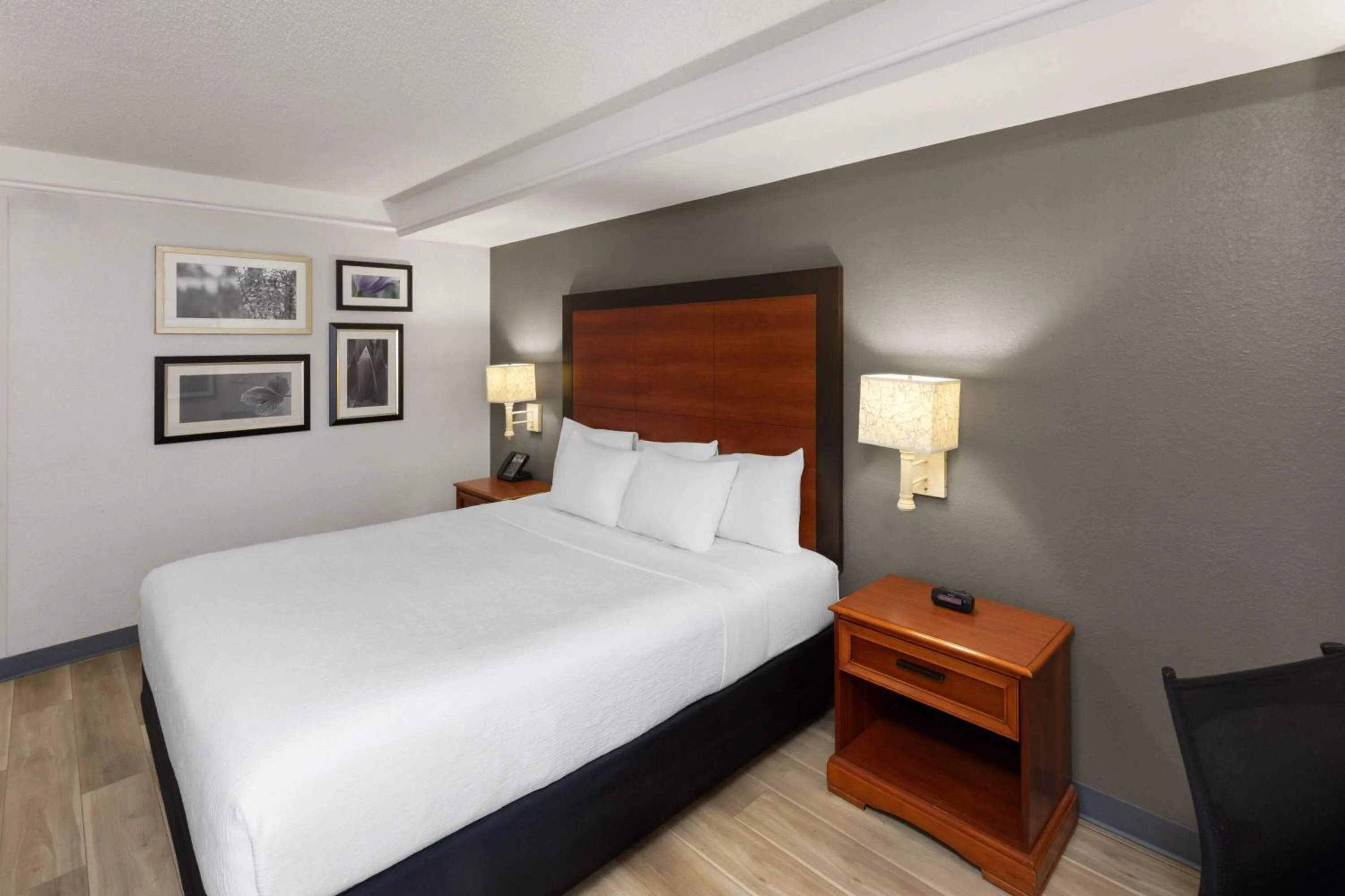 Photo of the whole room, Bed in La Quinta by Wyndham San Antonio Airport