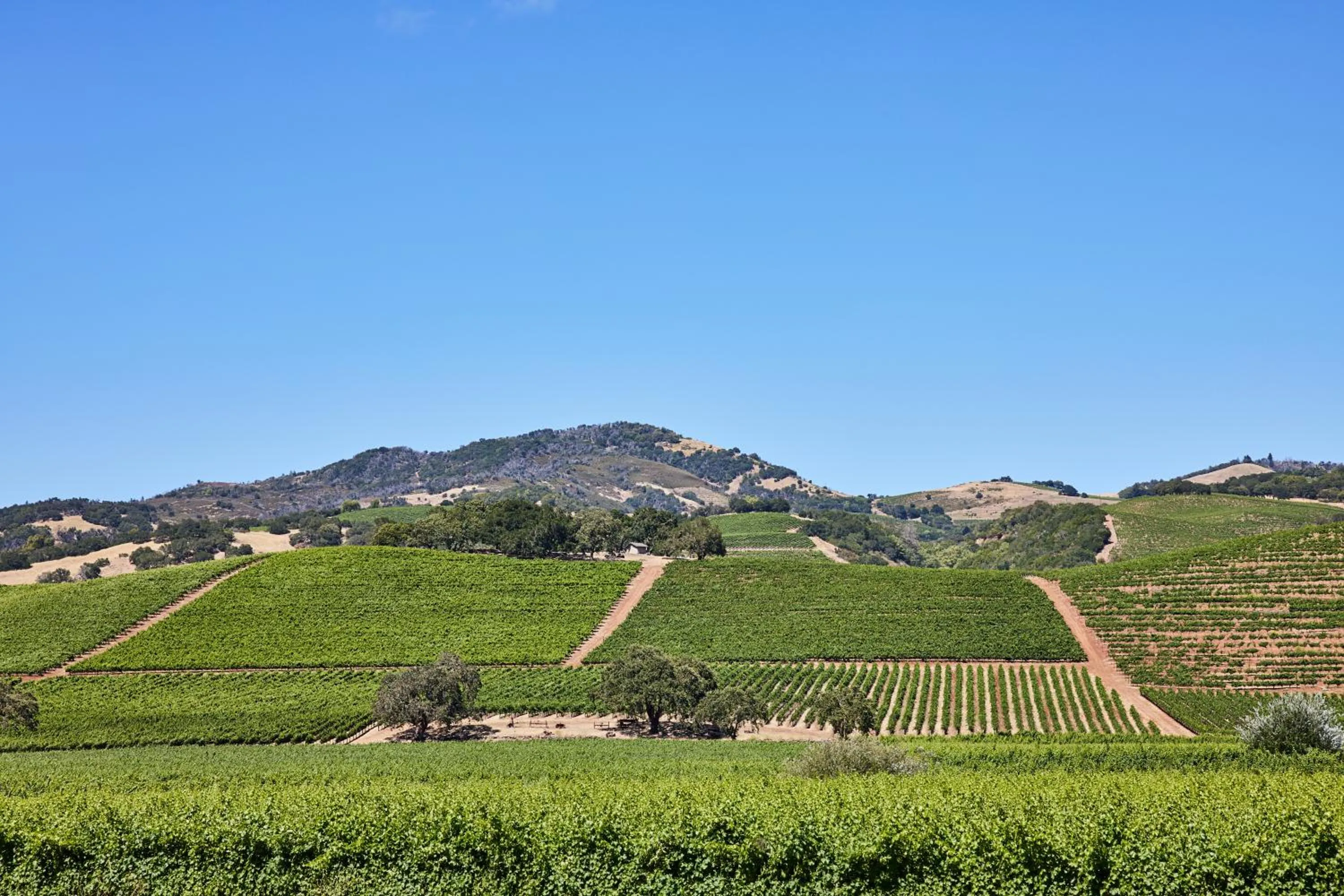 Mountain view in Kenwood Inn & Spa