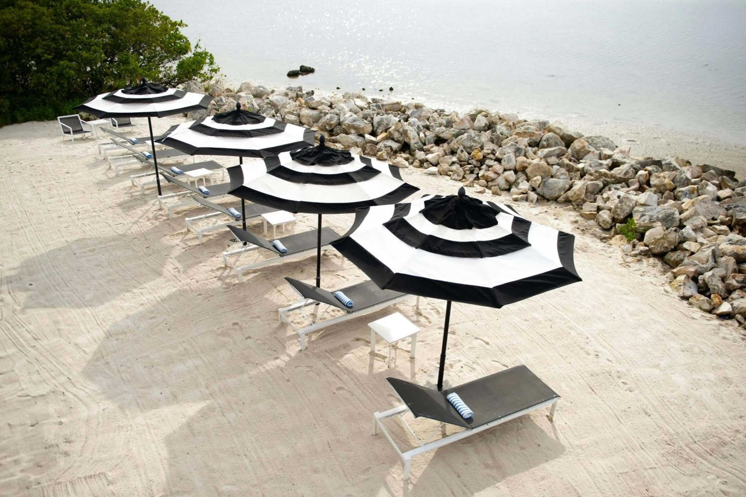 Beach in The CURRENT Hotel, Autograph Collection