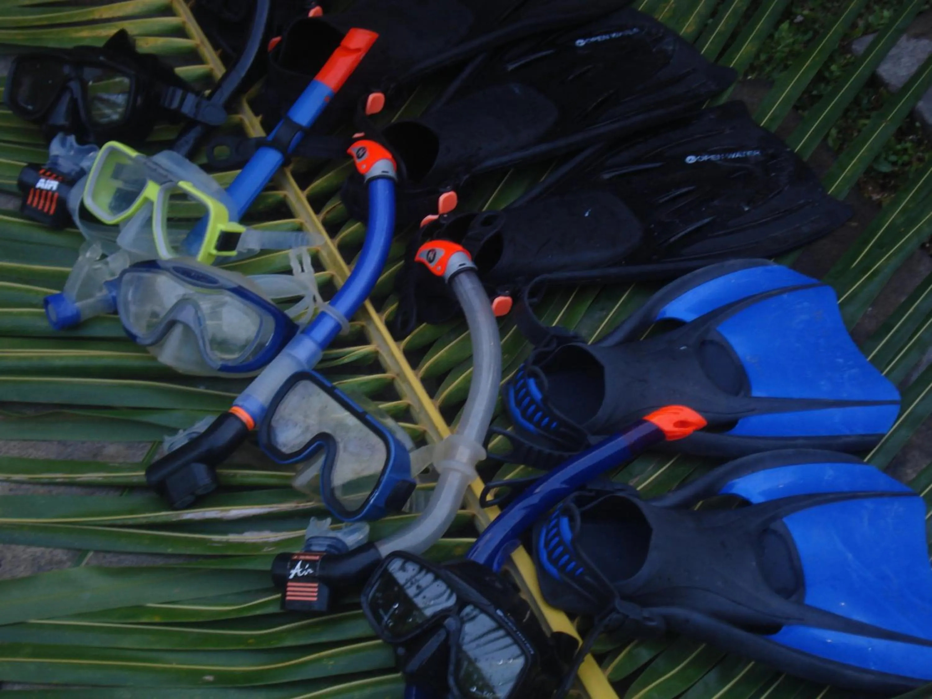 Snorkeling in Bulih Beach Bungalows