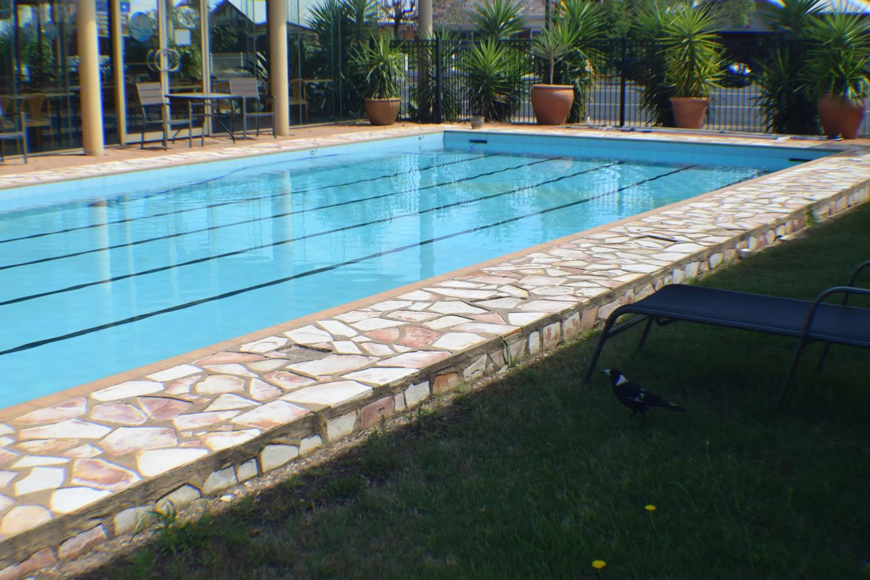 Swimming pool in The Oxley Motel Dubbo