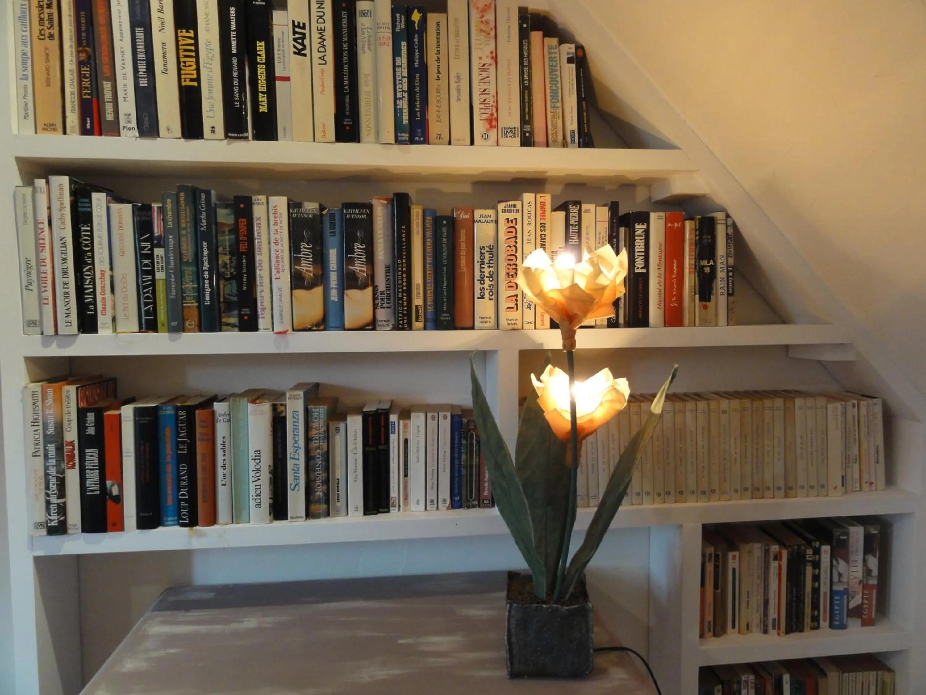 Library in Chambres d'hôtes Air Marin