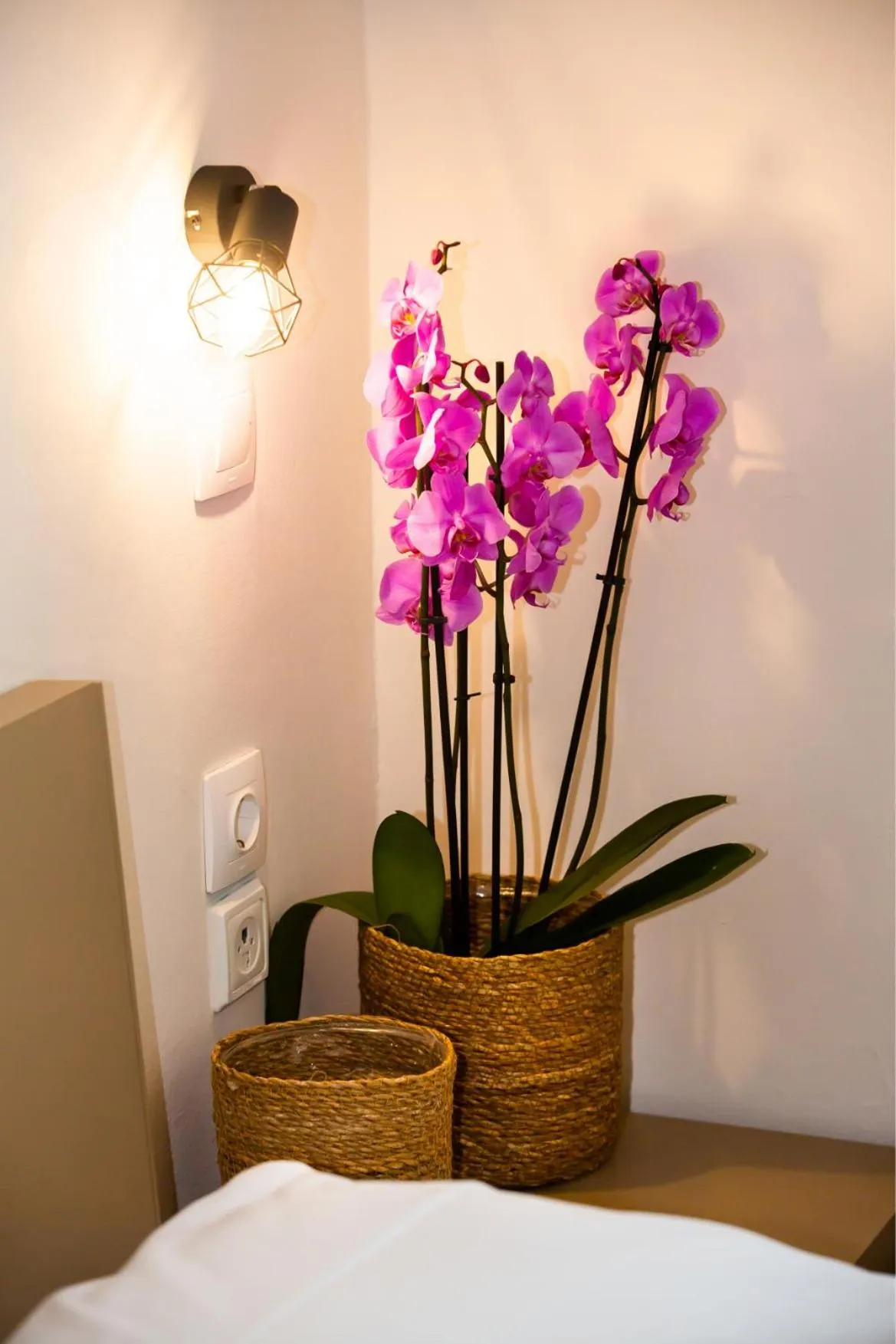 Bed in Ambiance Studios