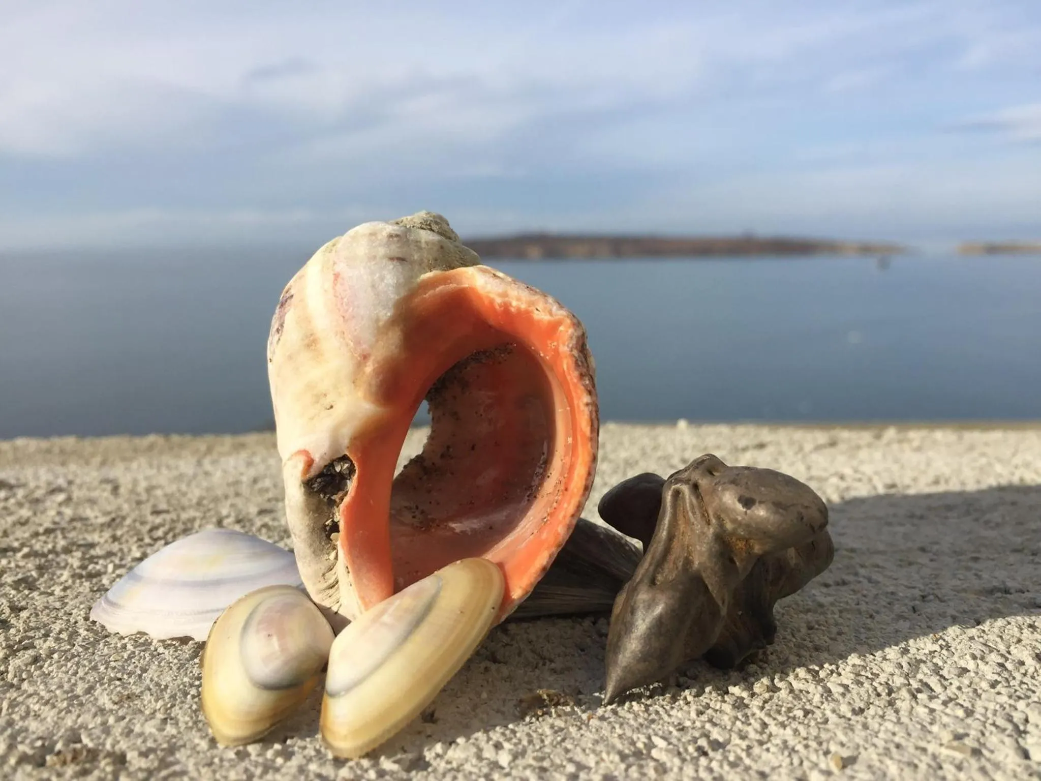 apartment DIAMOND SARAFOVO