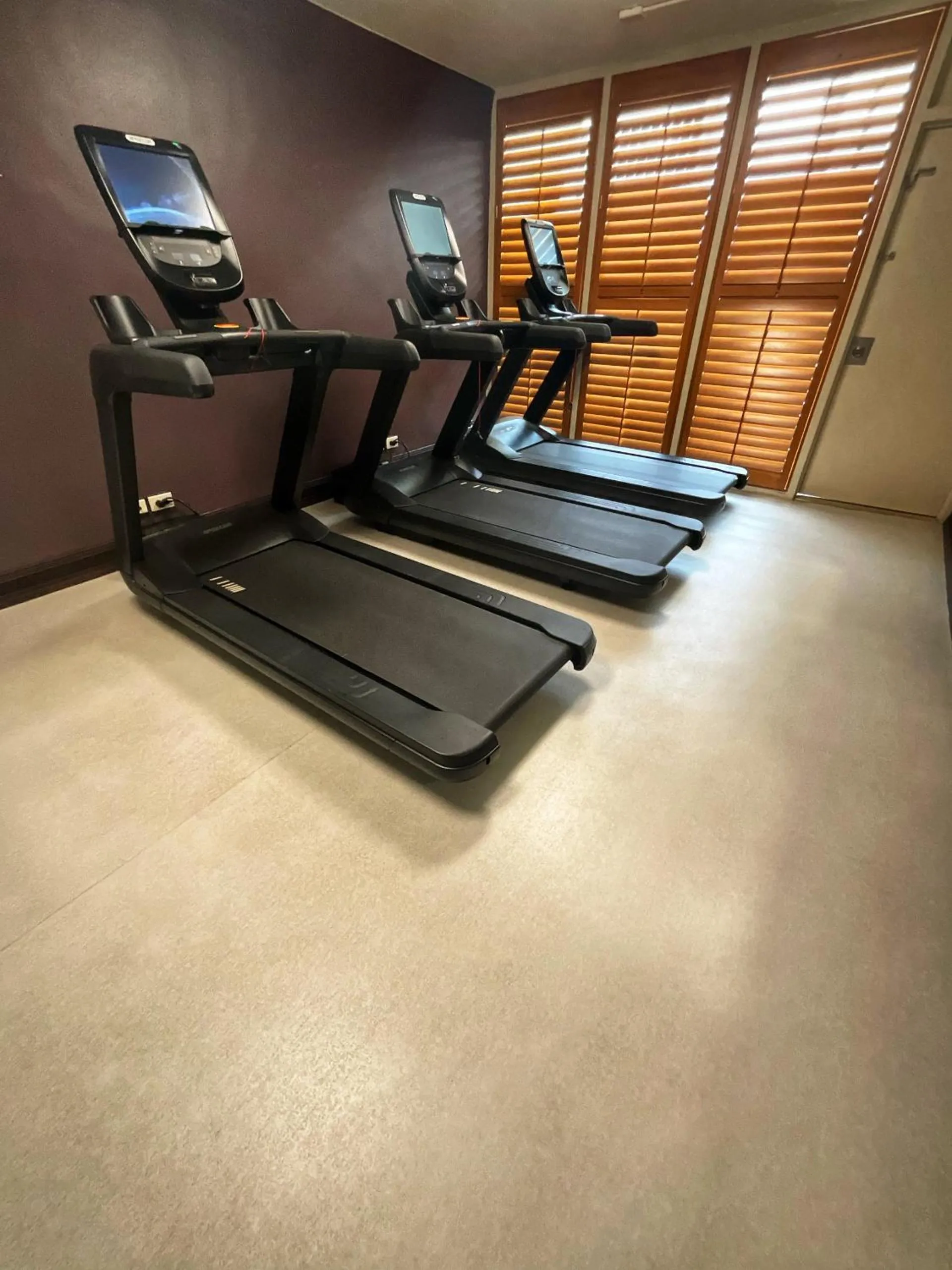 Fitness centre/facilities in Hilton Palacio del Rio