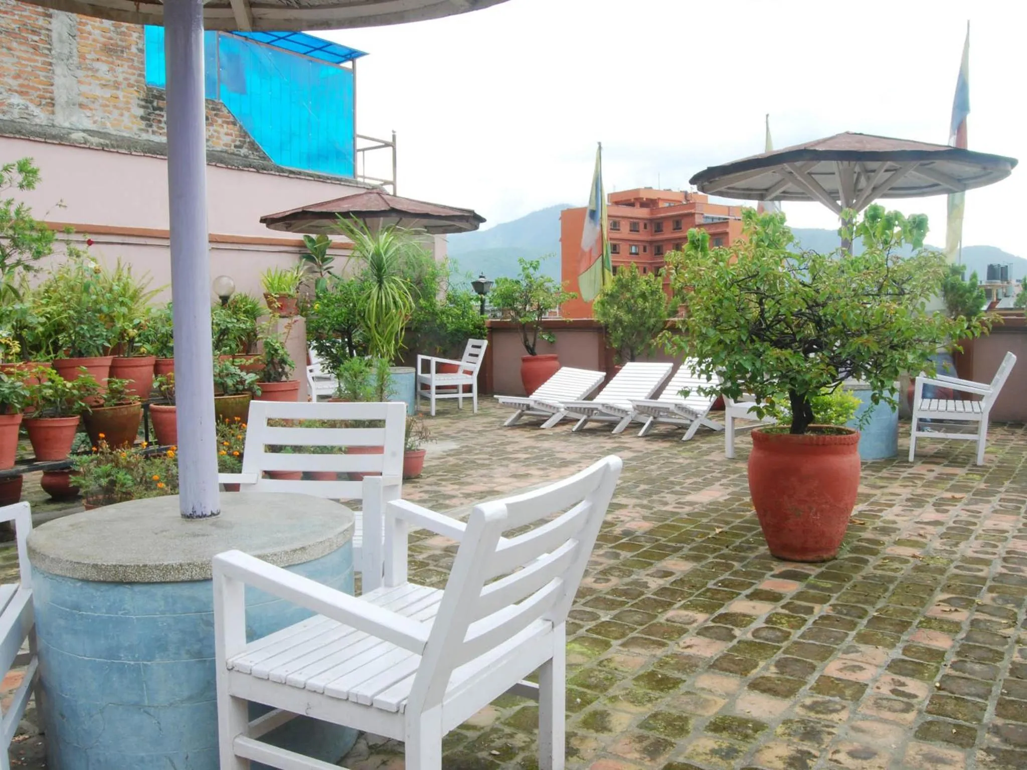 Garden in Potala Guest House