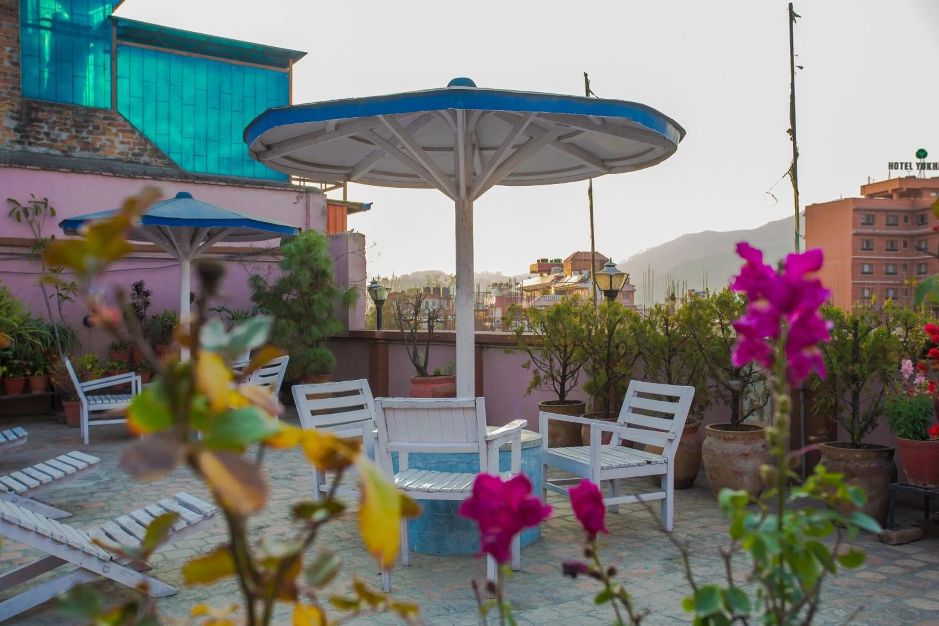 Balcony/Terrace in Potala Guest House
