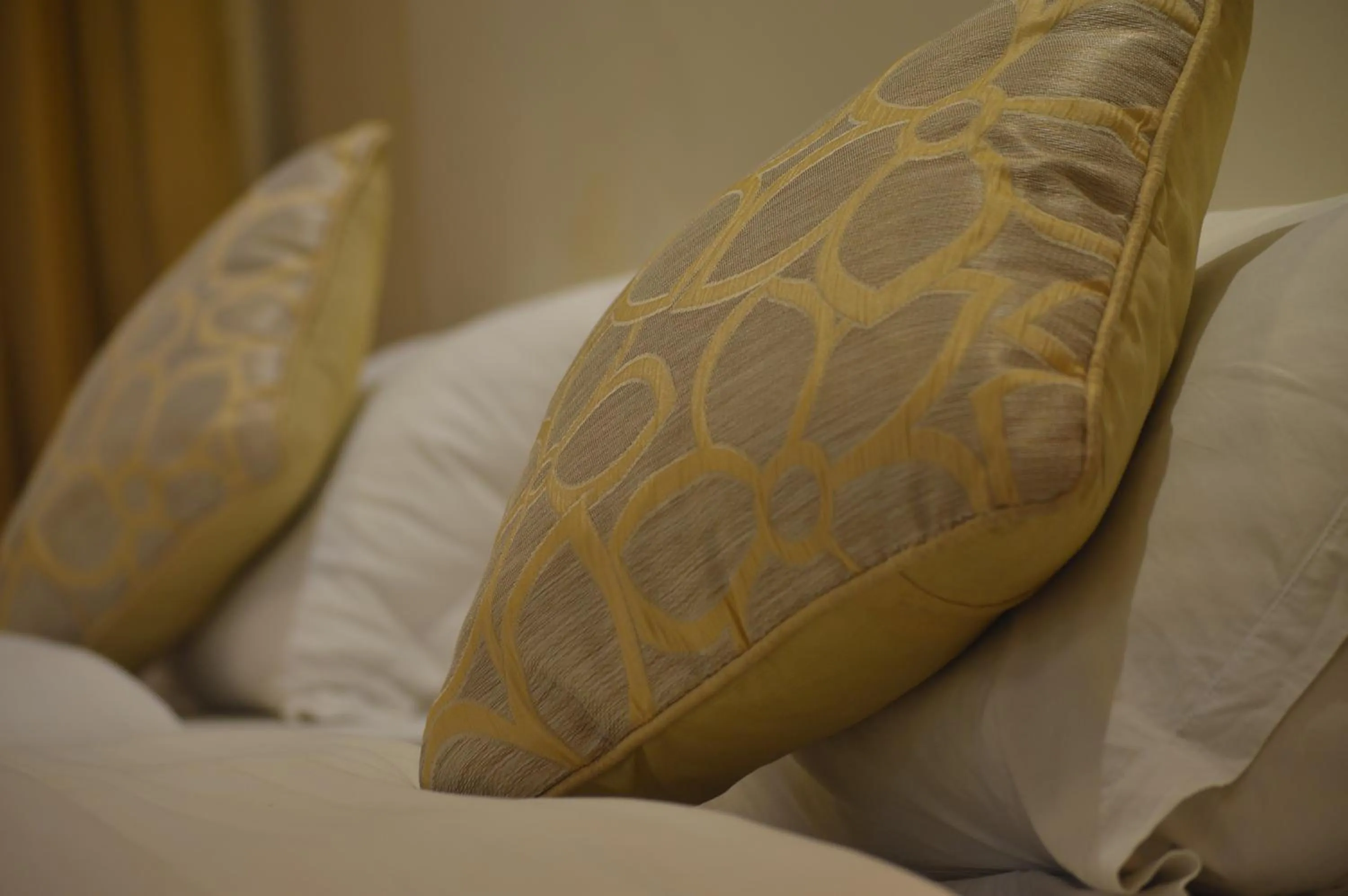 Other, Bed in Potala Guest House