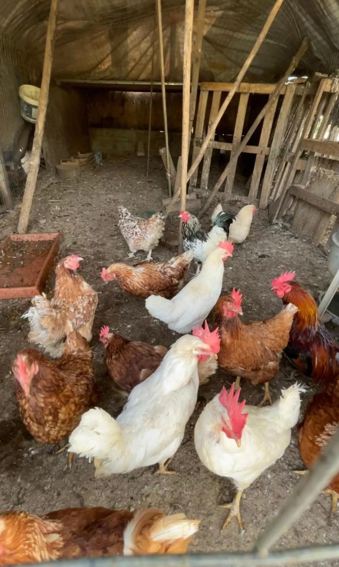 Casale Torre San Magno