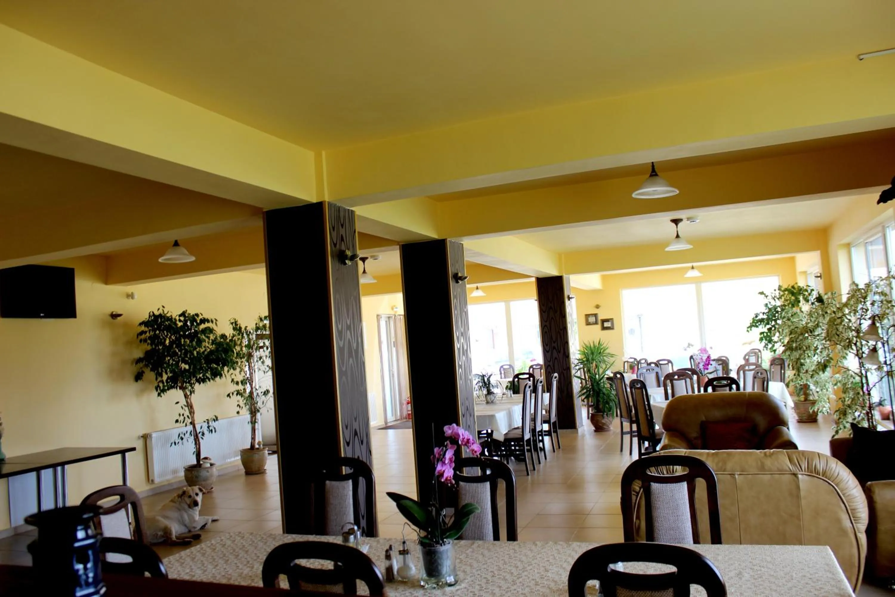 Photo of the whole room in Vila Carlos