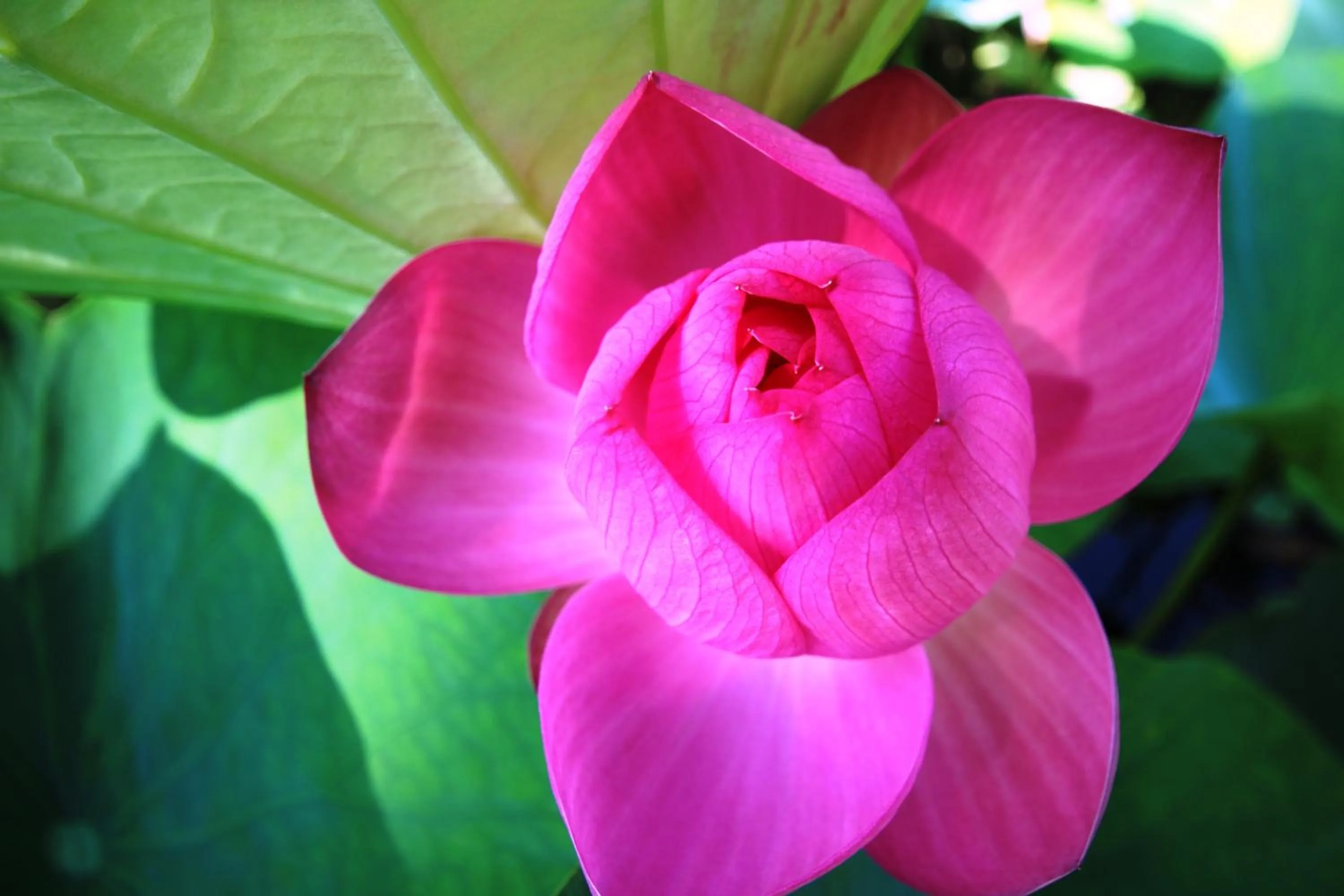 Natural landscape in Vila Carlos