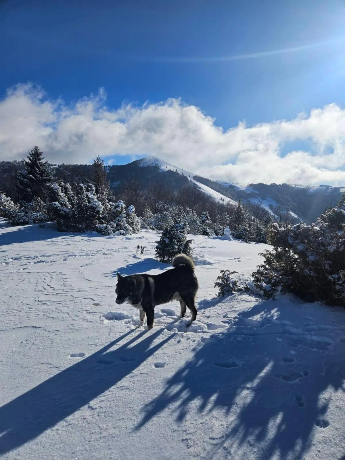 Neighbourhood in Hotel Kraljevi Čardaci