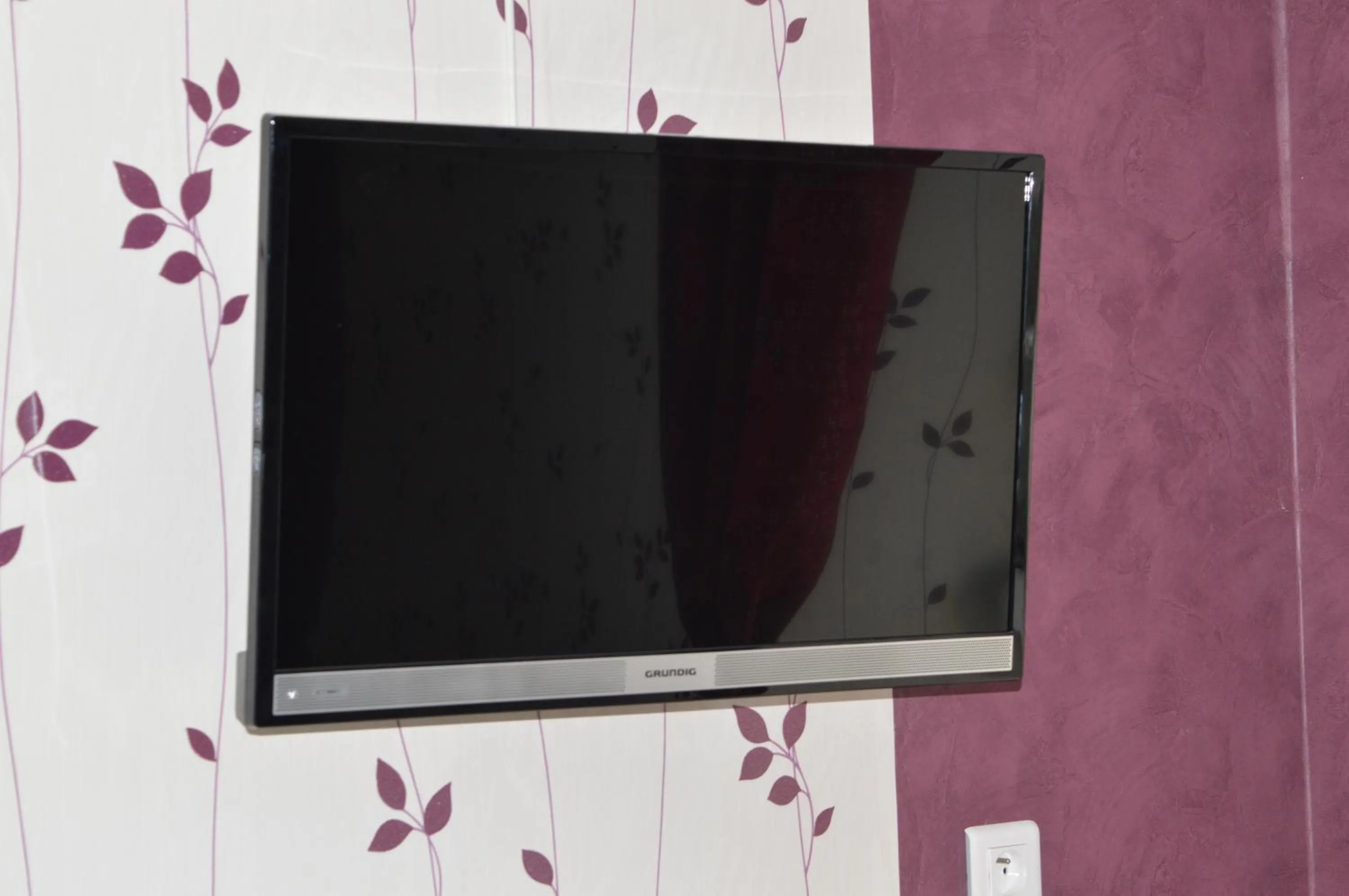 TV and multimedia in Chambres d'hôtes La Trottelée