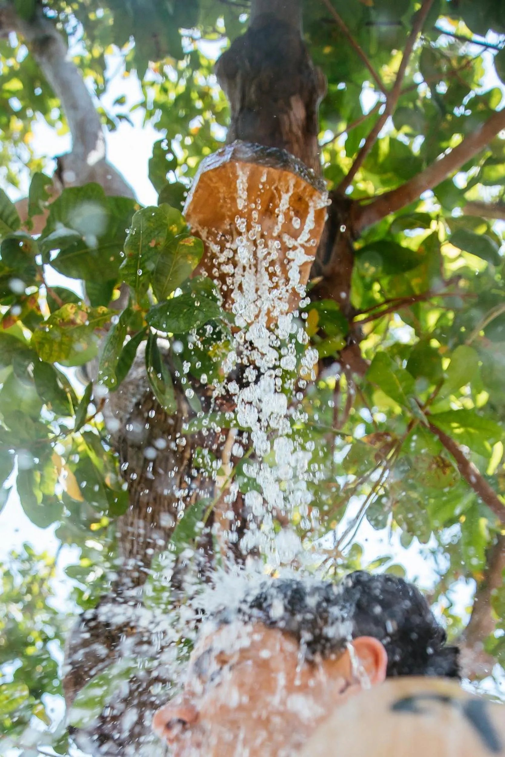 Shower in CasaLô Hotel
