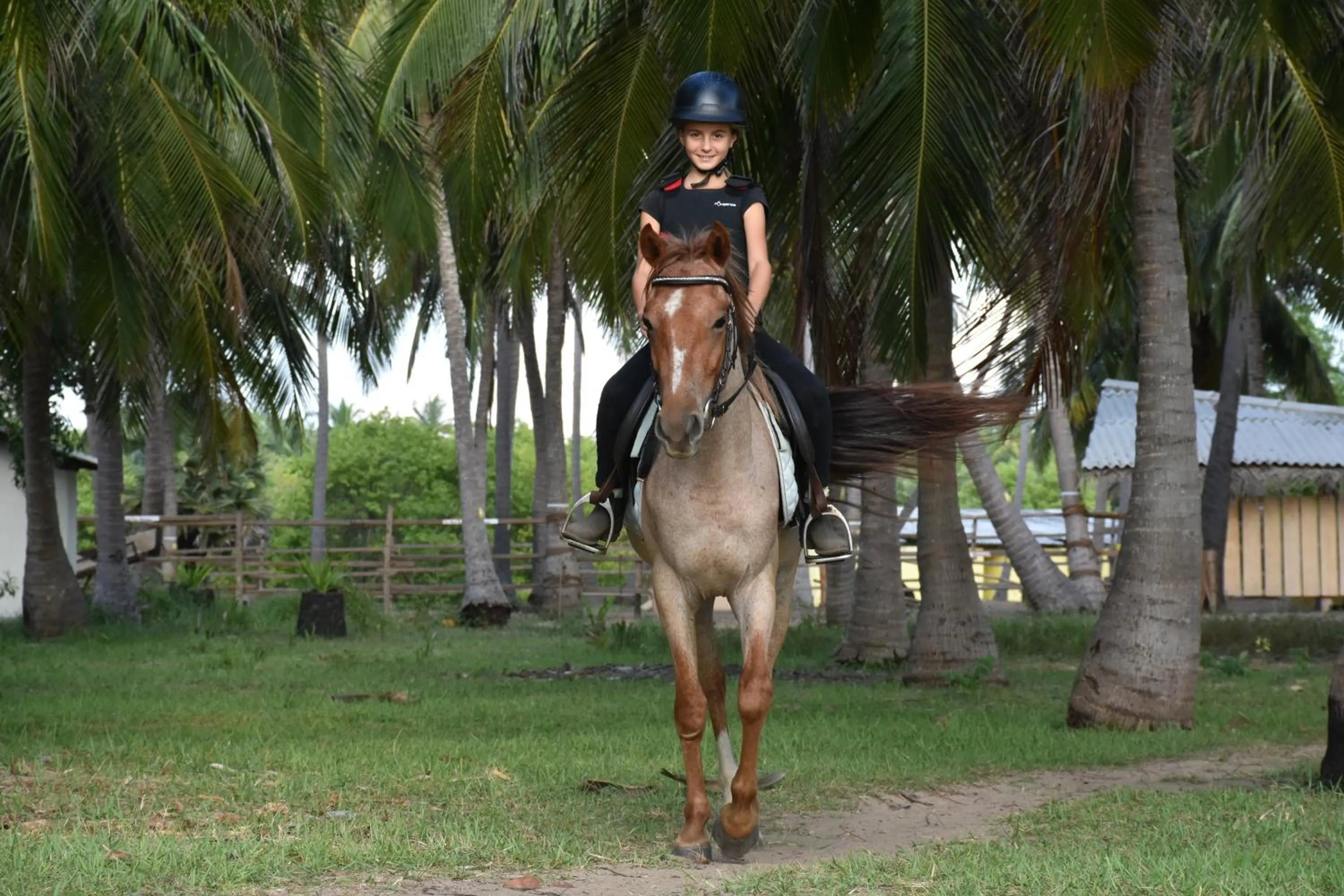 Horse-riding in Elements Beach & Nature Resort