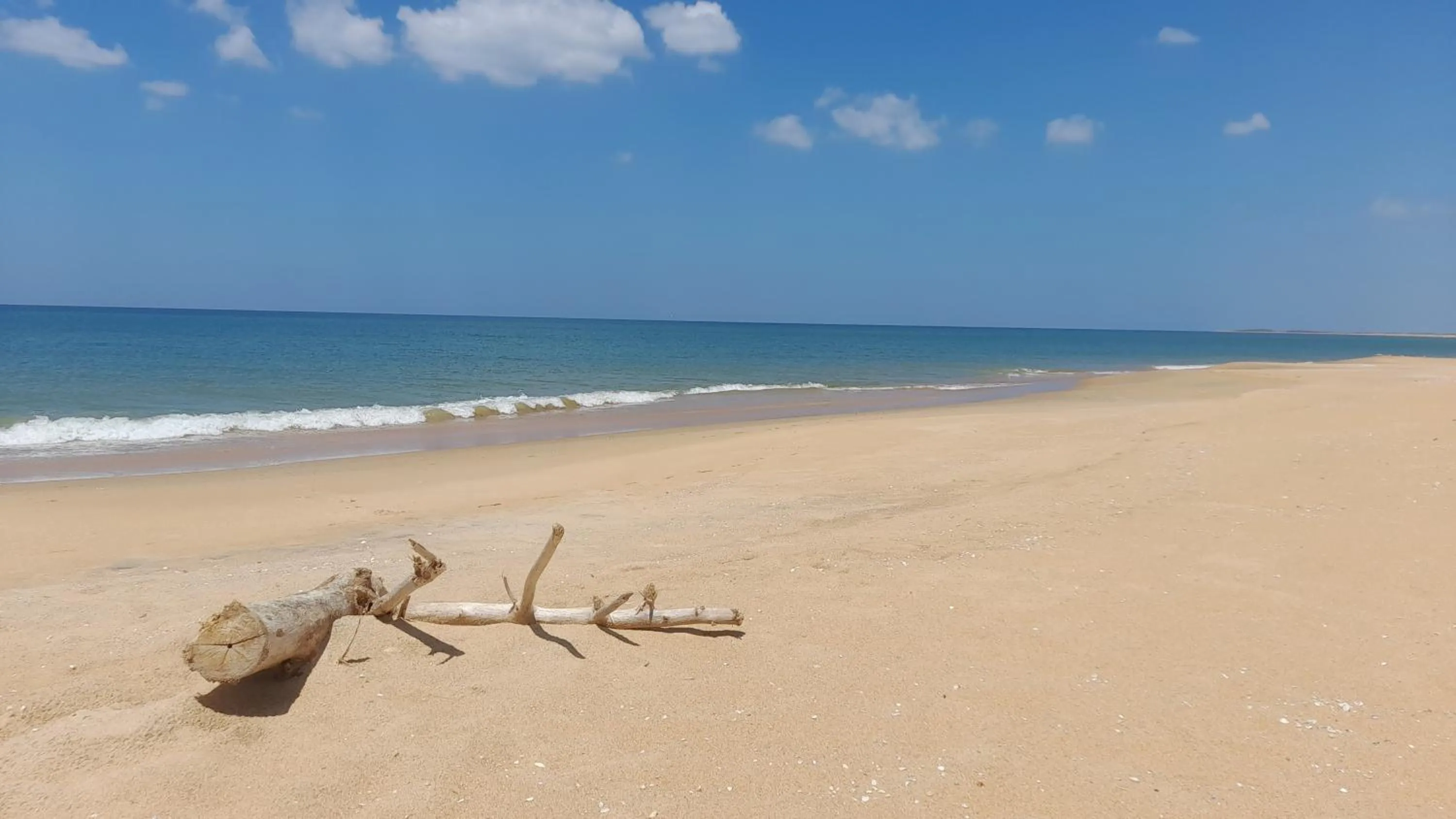 Beach in Elements Beach & Nature Resort