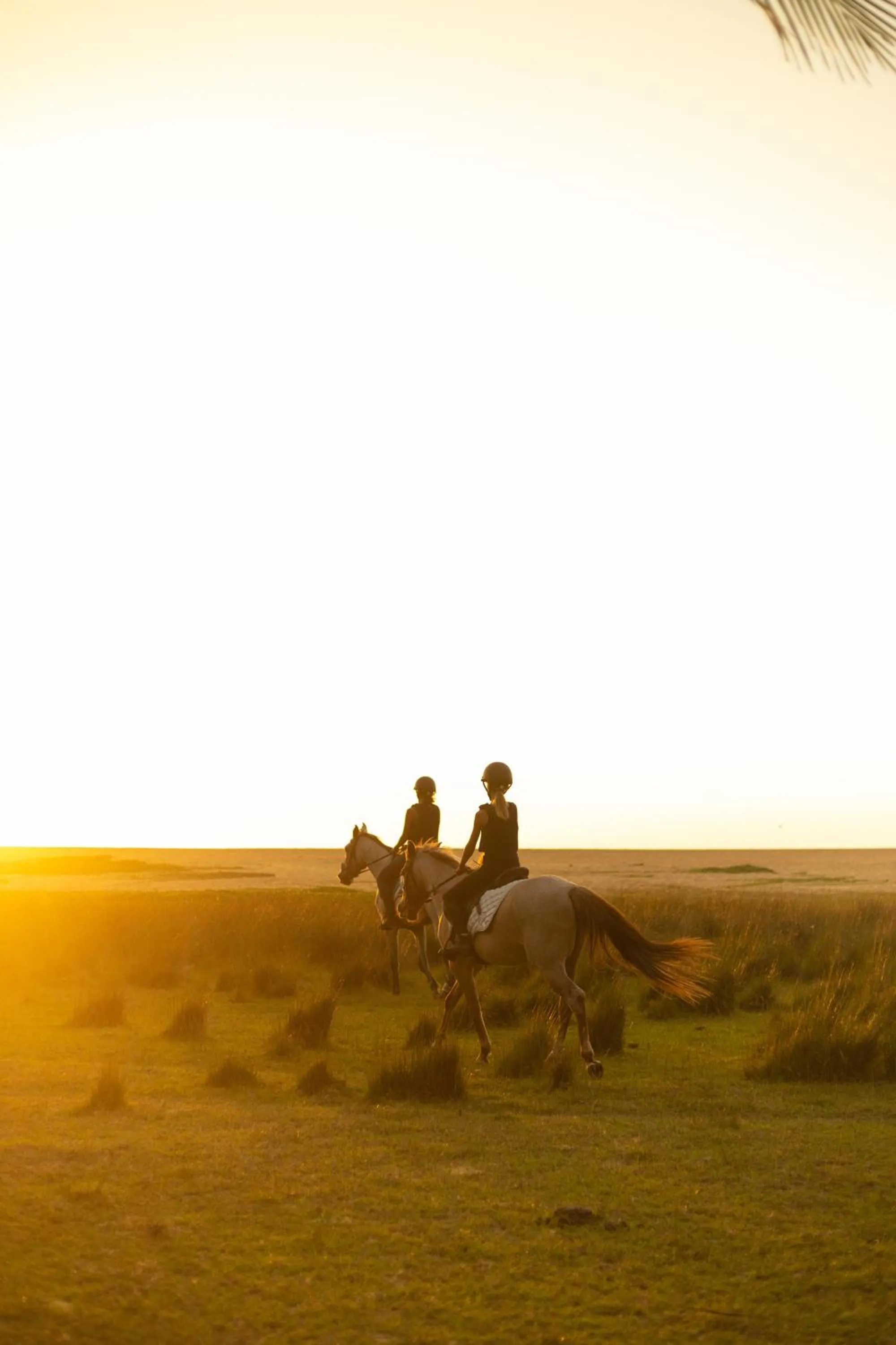 Day in Elements Beach & Nature Resort