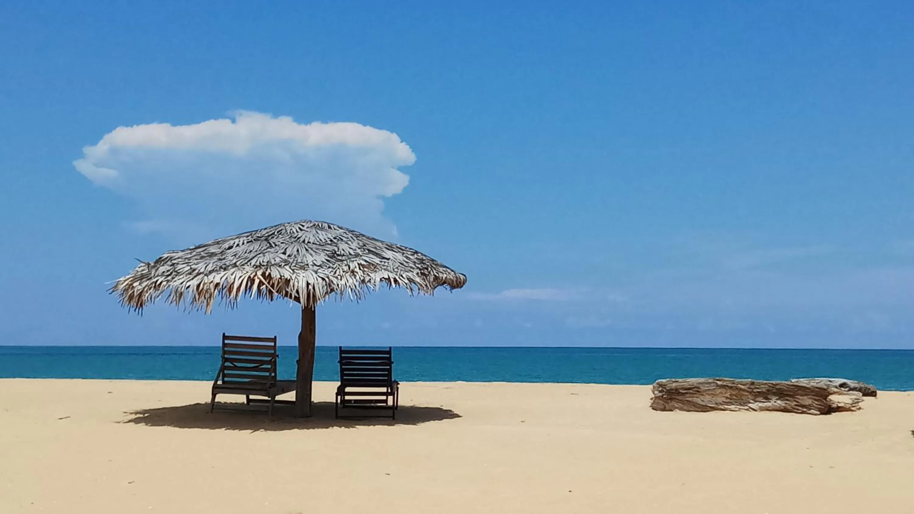 Beach in Elements Beach & Nature Resort