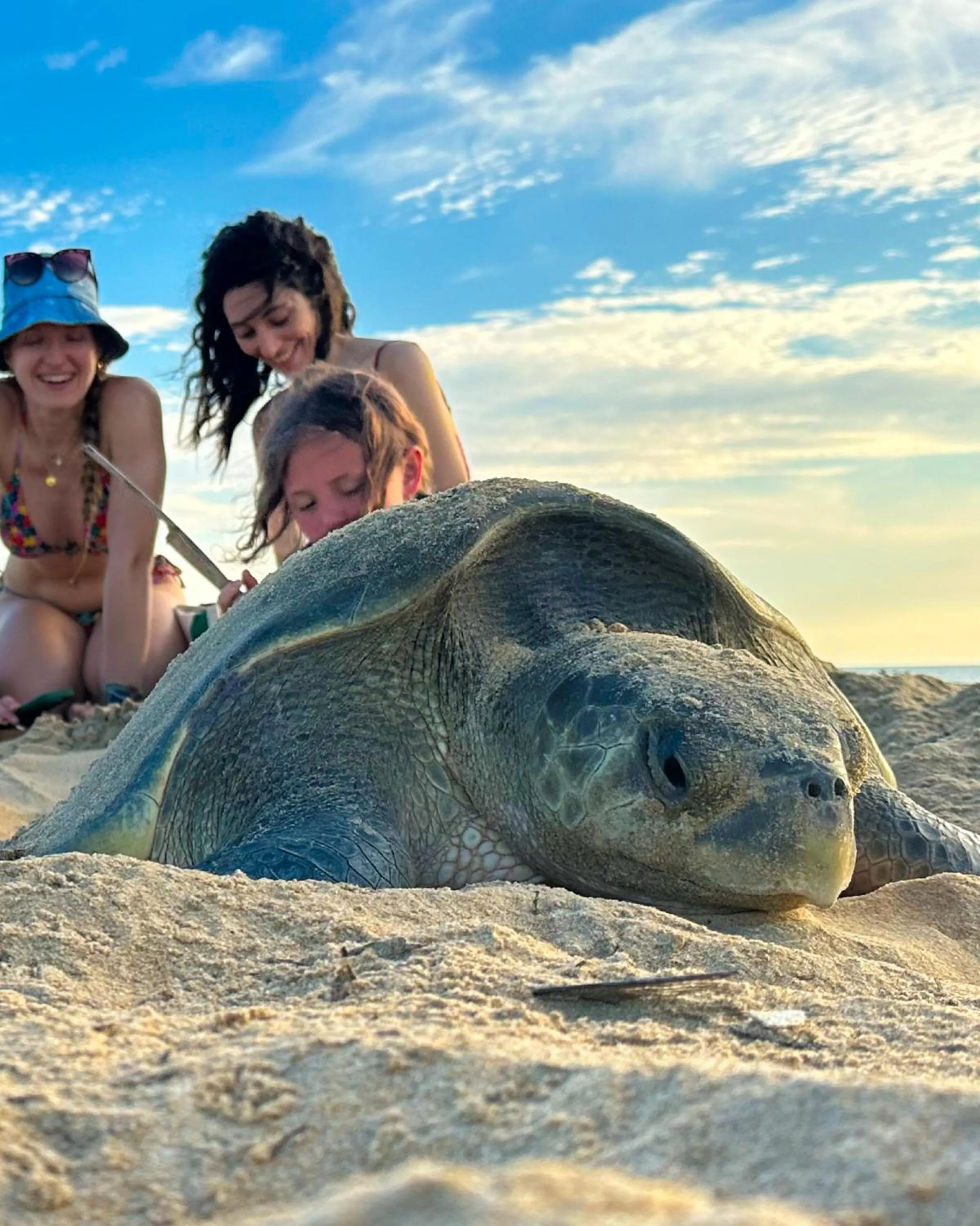 Beach in Elements Beach & Nature Resort