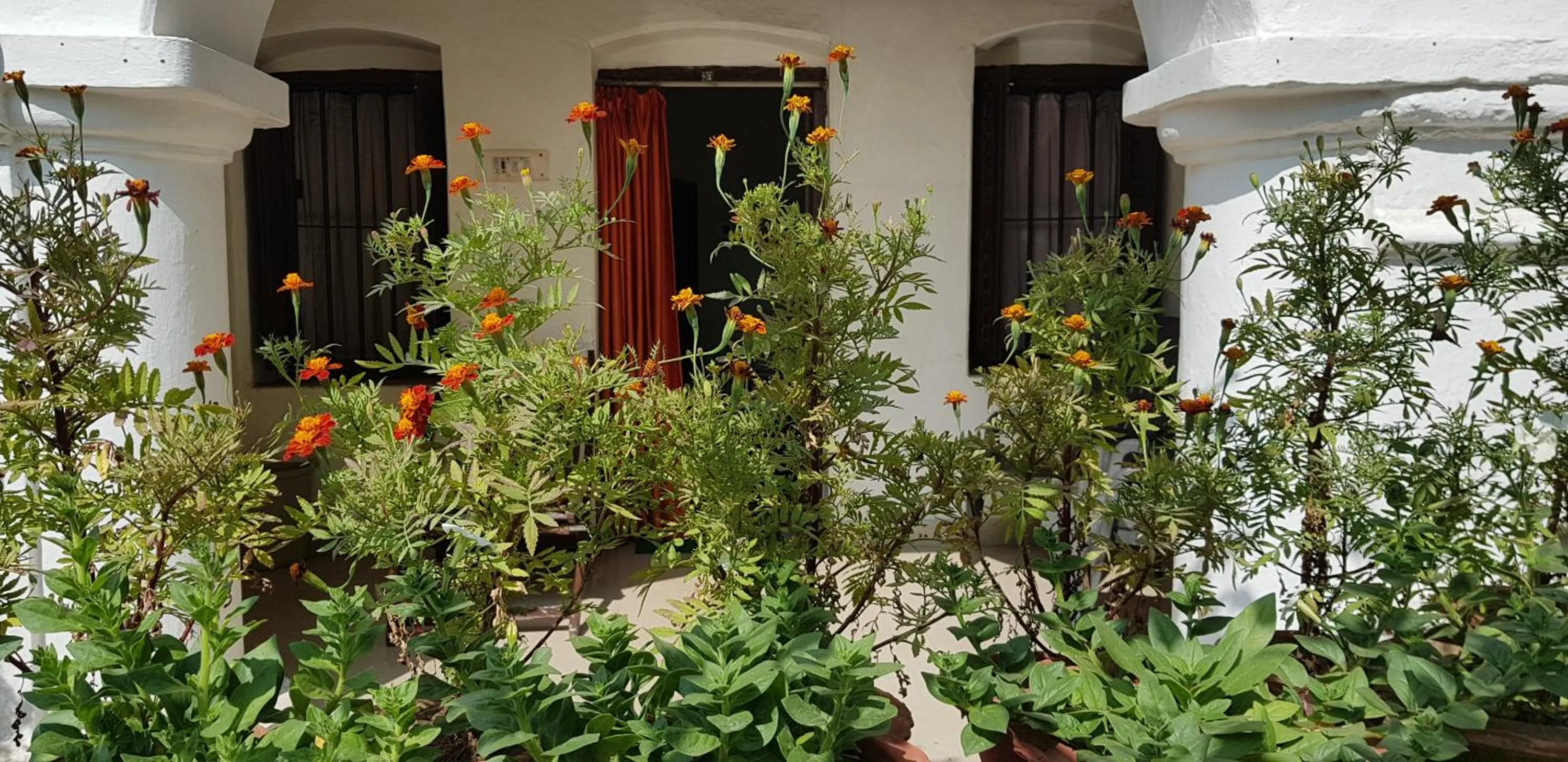 Facade/entrance in Hotel Gandhara