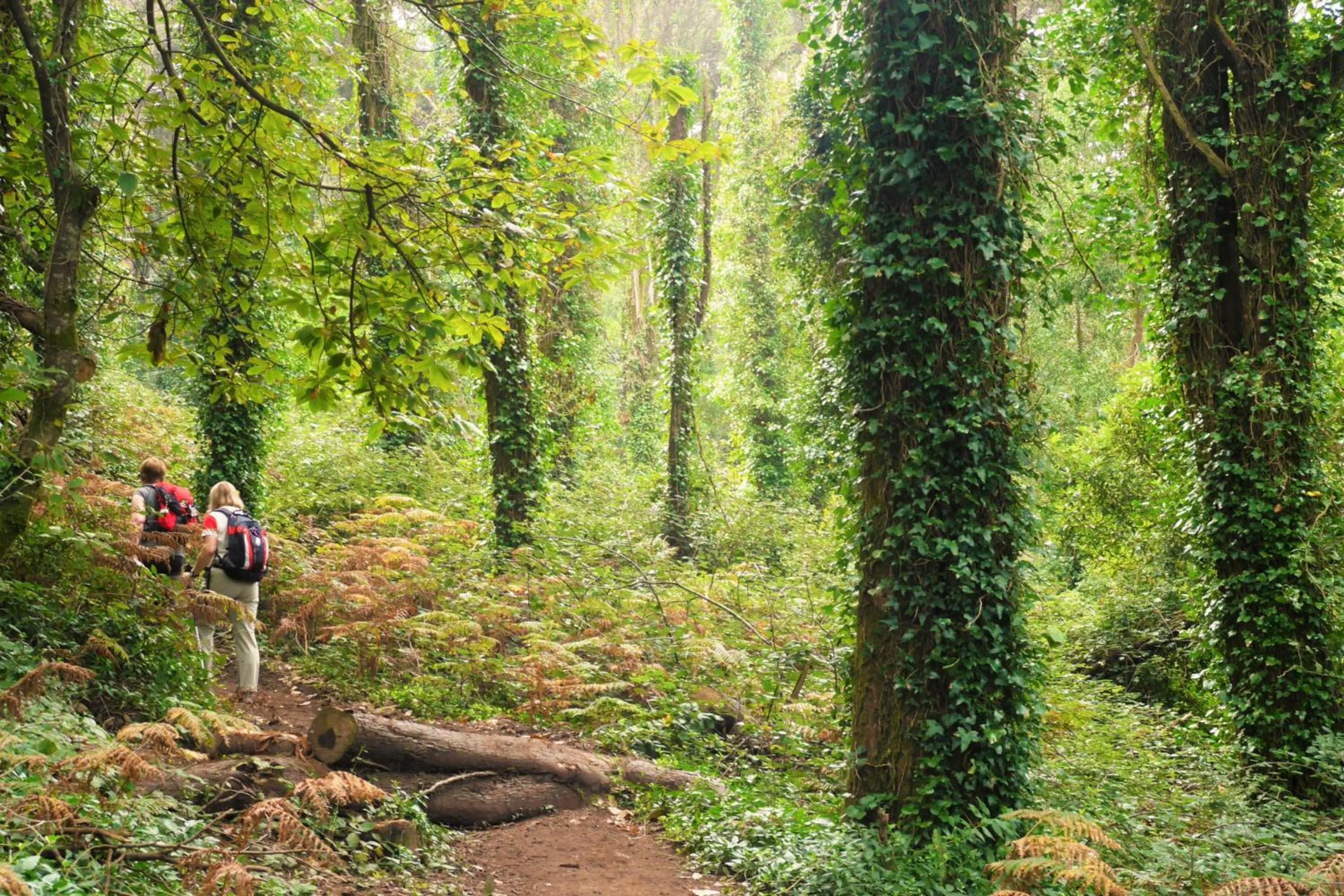 Natural landscape in Casa do Valle