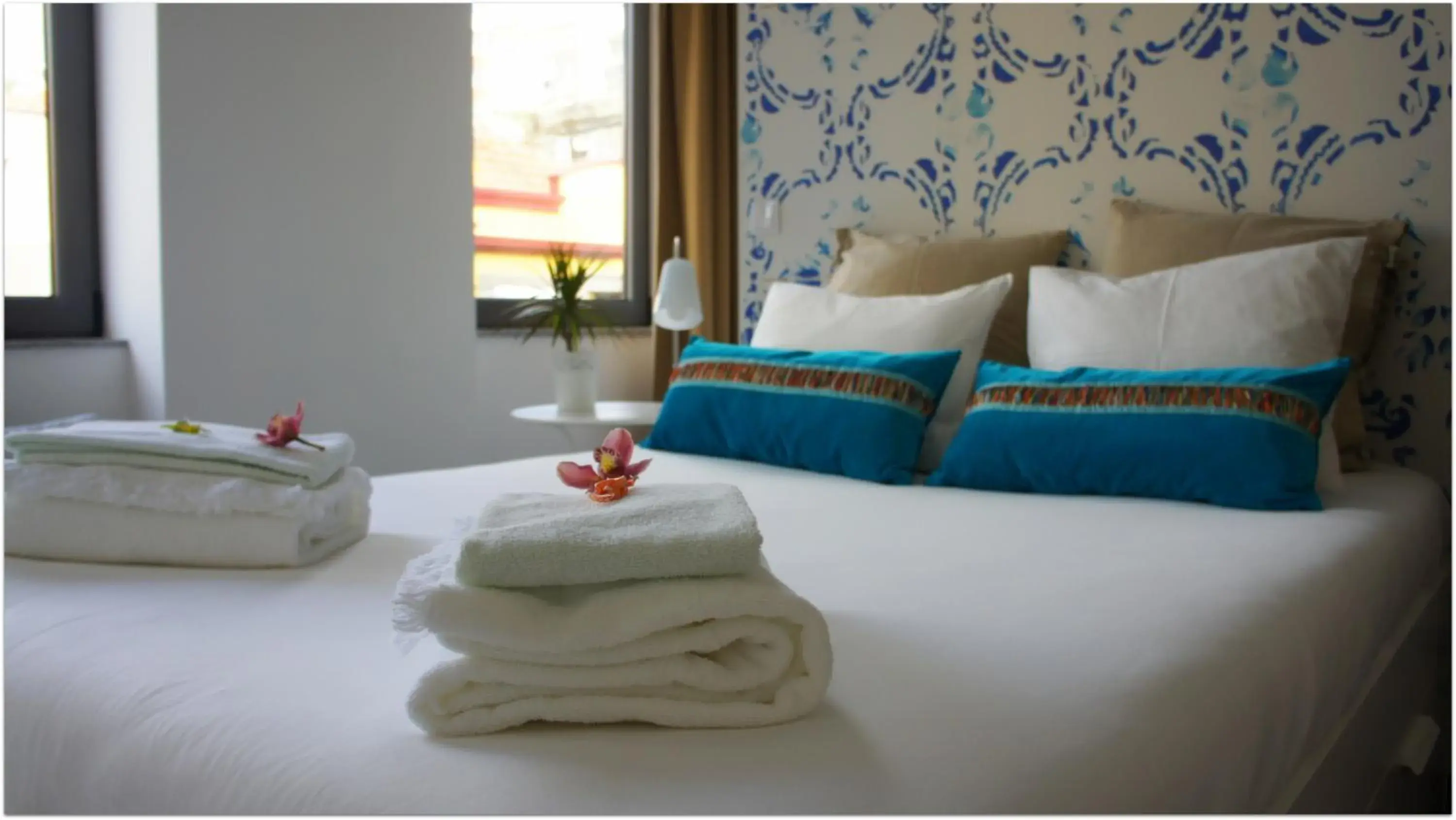 Double Room with Shared Bathroom in Hostel Gaia Porto Double Room with Shared Bathroom in Hostel Gaia Porto