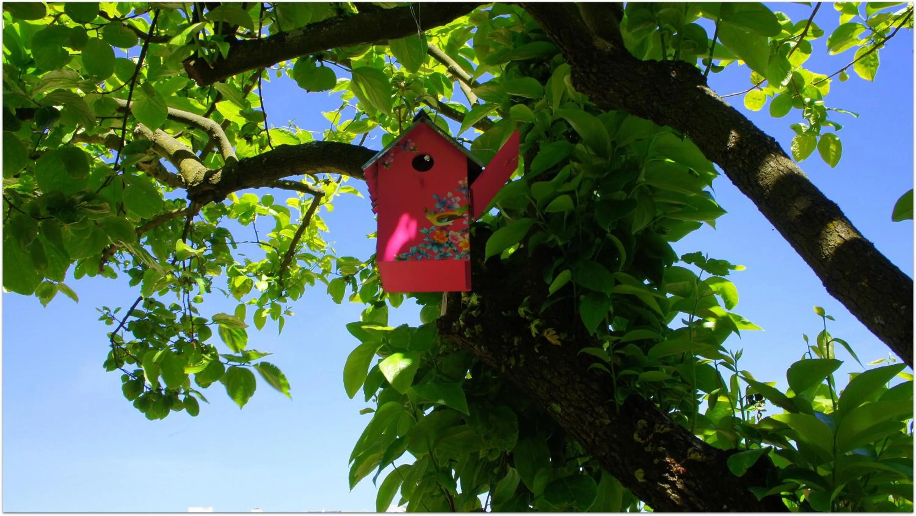 Spring in Hostel Gaia Porto