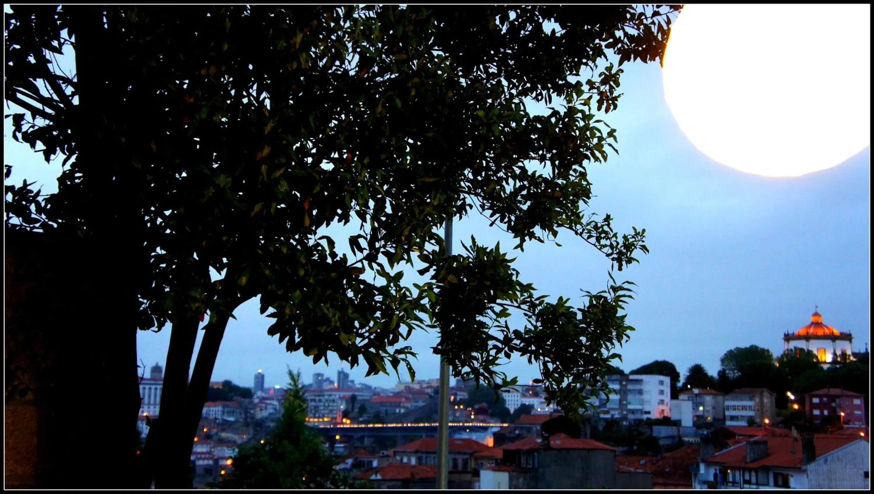 Garden in Hostel Gaia Porto