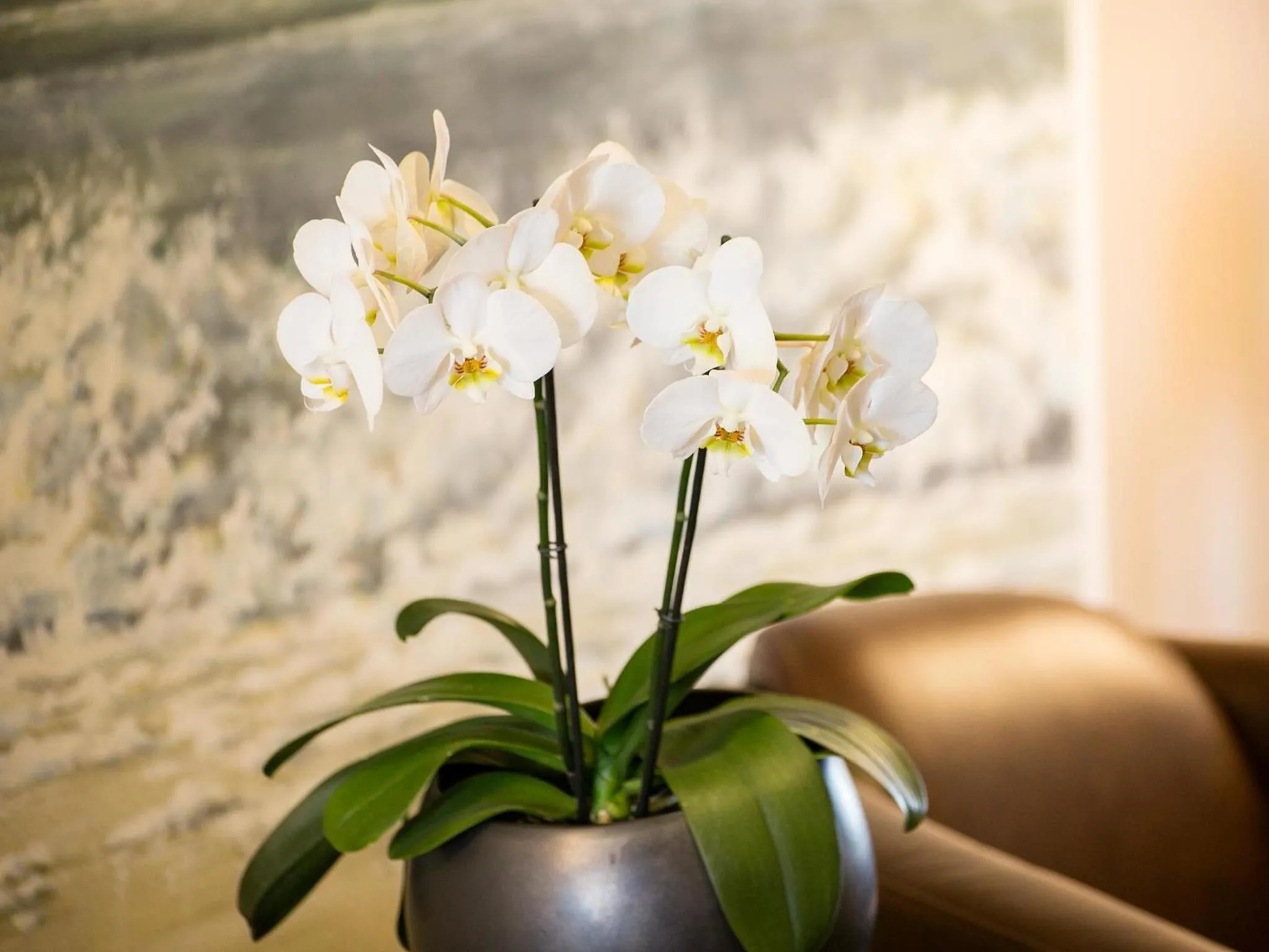 Lobby or reception in Hotel Pommernland