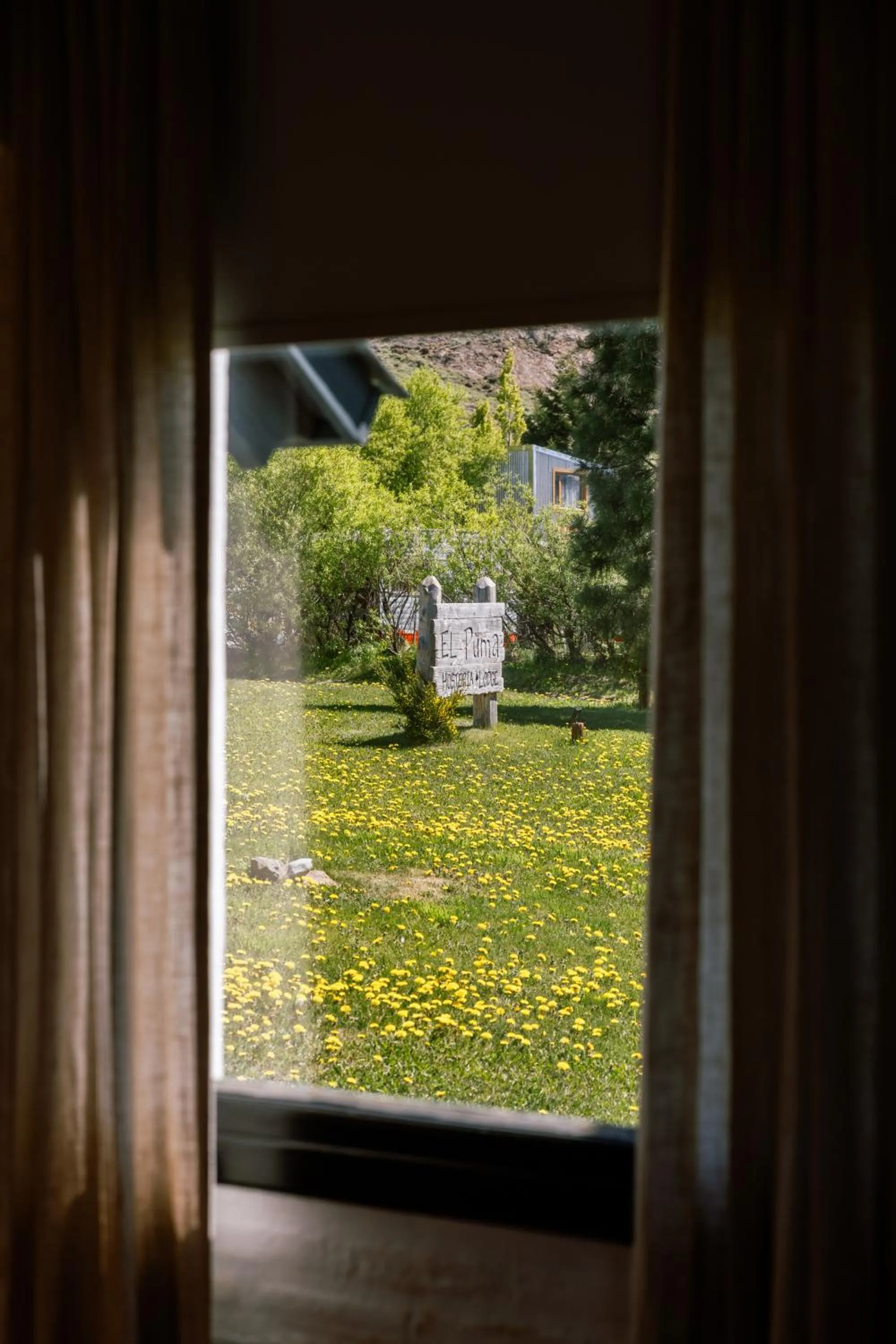 Garden view in Hosteria El Puma