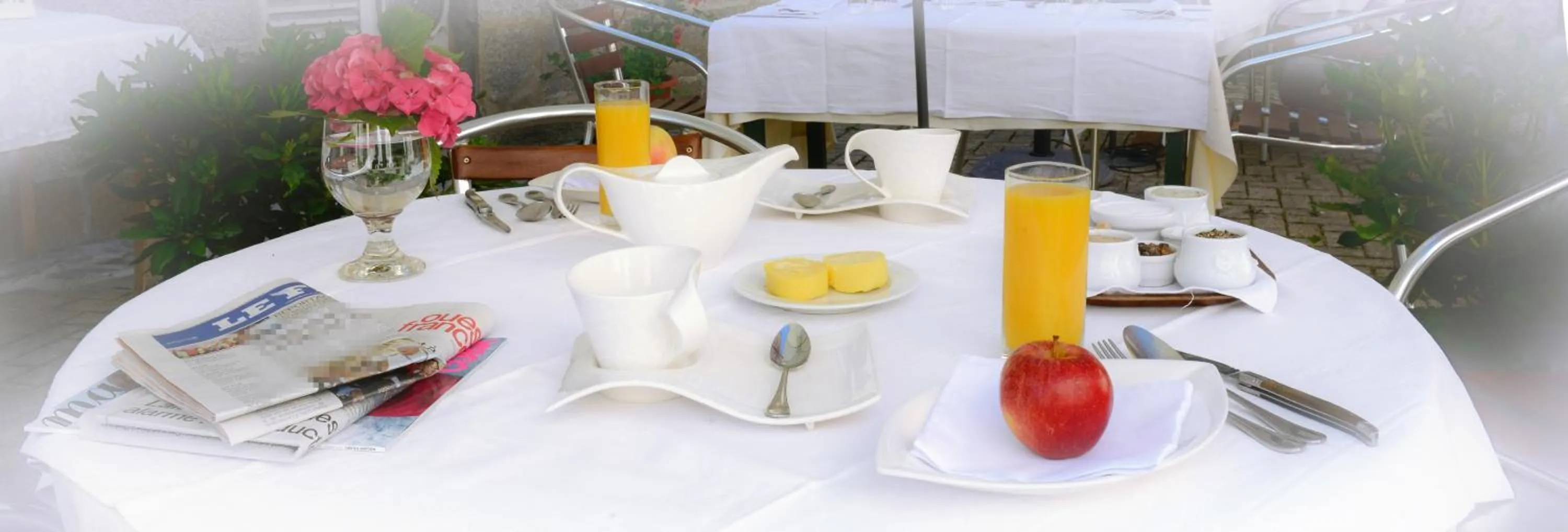 Logis Hôtel et Restaurant du Dauphin